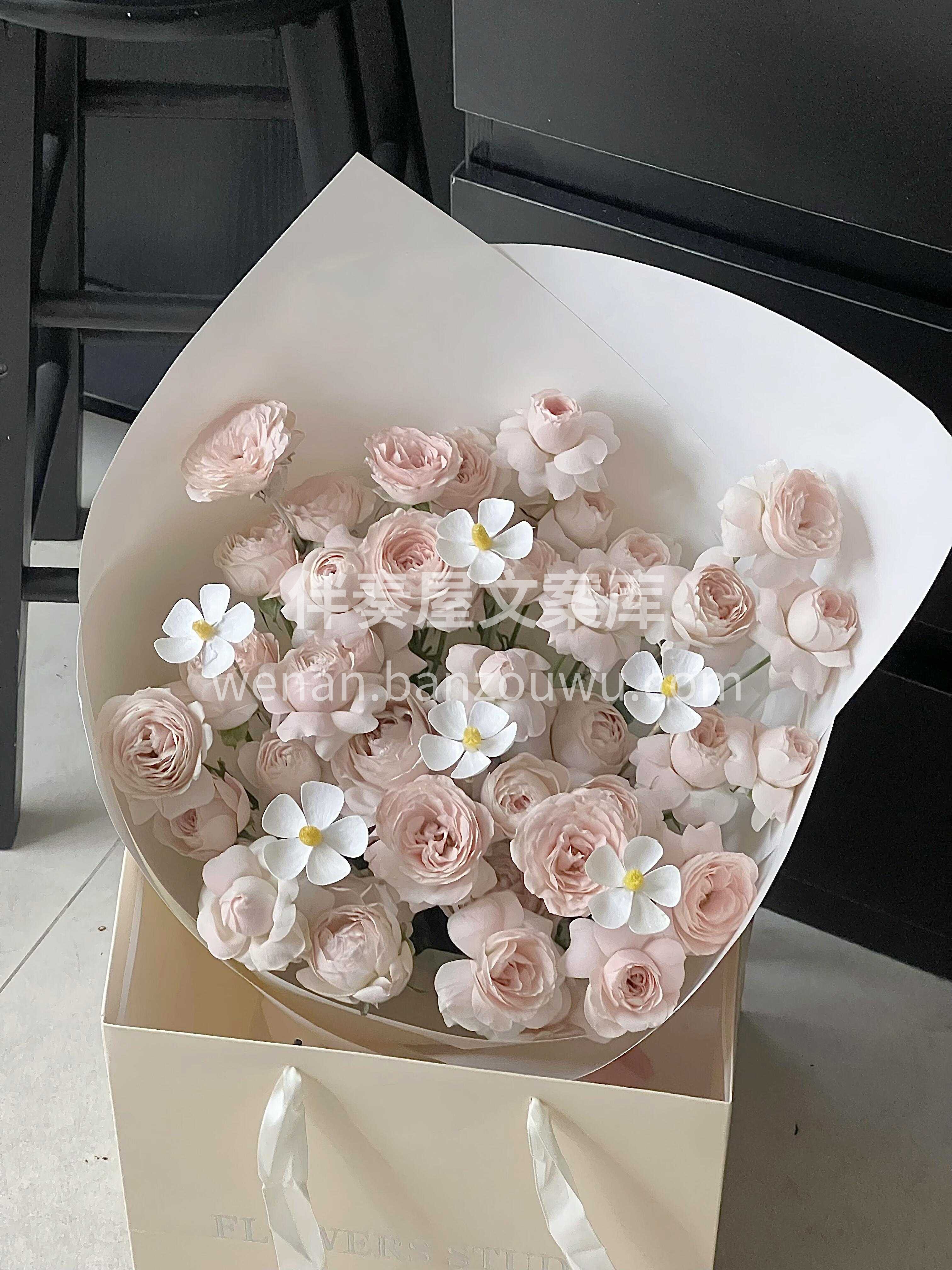 仙子之吻玫瑰🌹 花语：你是我藏在心里的爱意 仙子轻吻👼 让晦 配图2