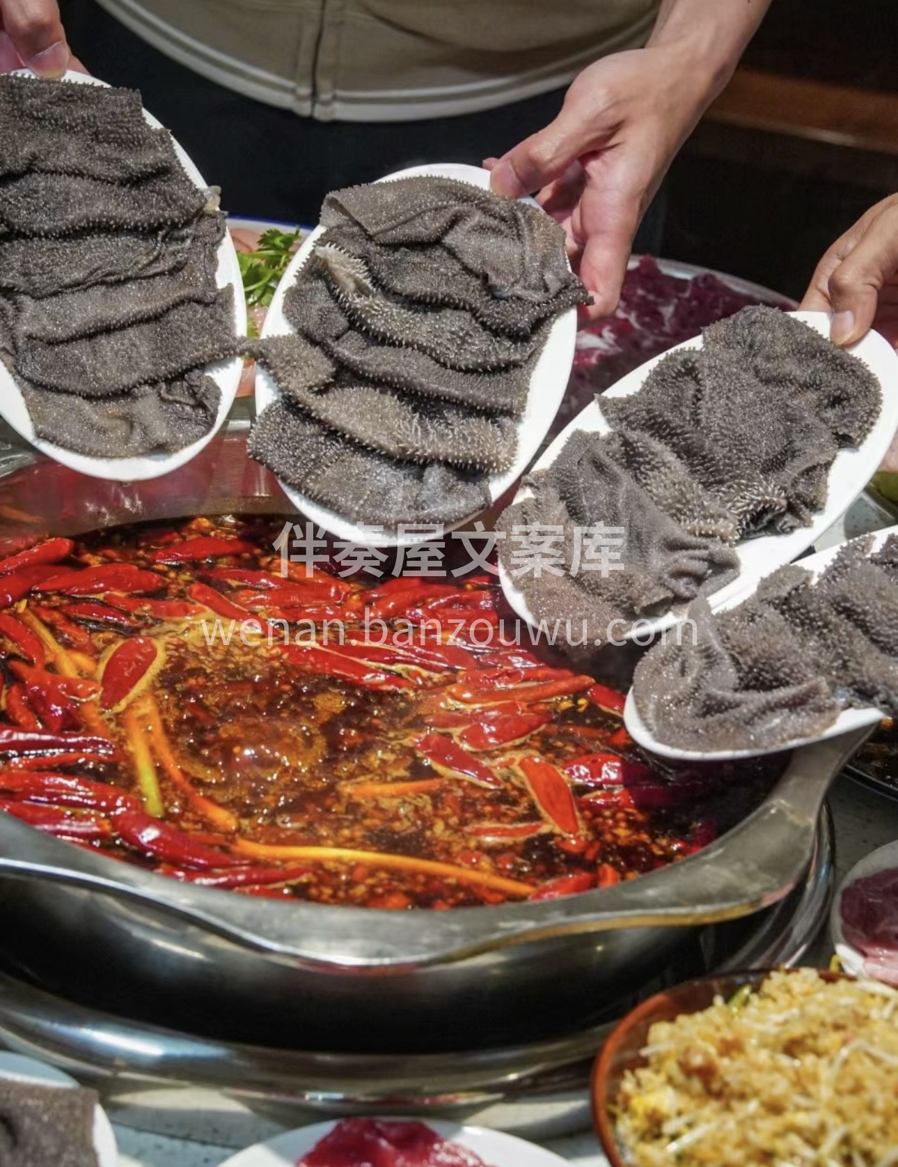 毛肚火锅，舌尖上的热辣舞蹈。每一片毛肚在 配图2
