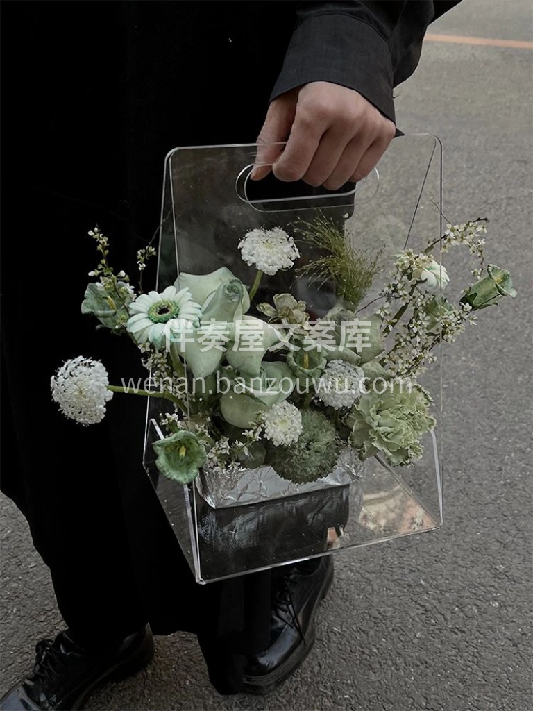 亚克力手提花盒🎁 我曾跋涉万水千山 绕过 配图1