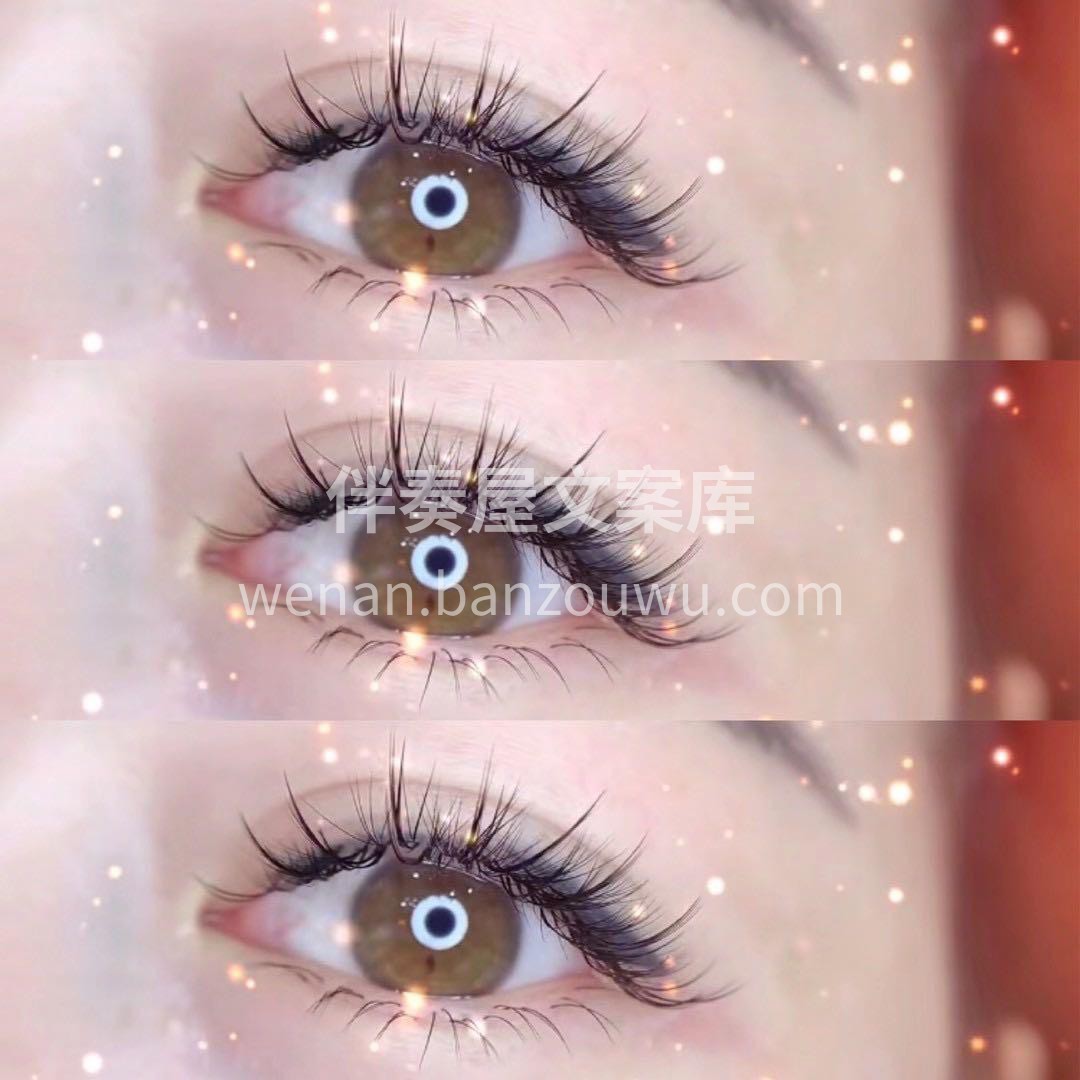 .∧__∧ ⠀⠀⠀⠀ ( • ·̫ •)