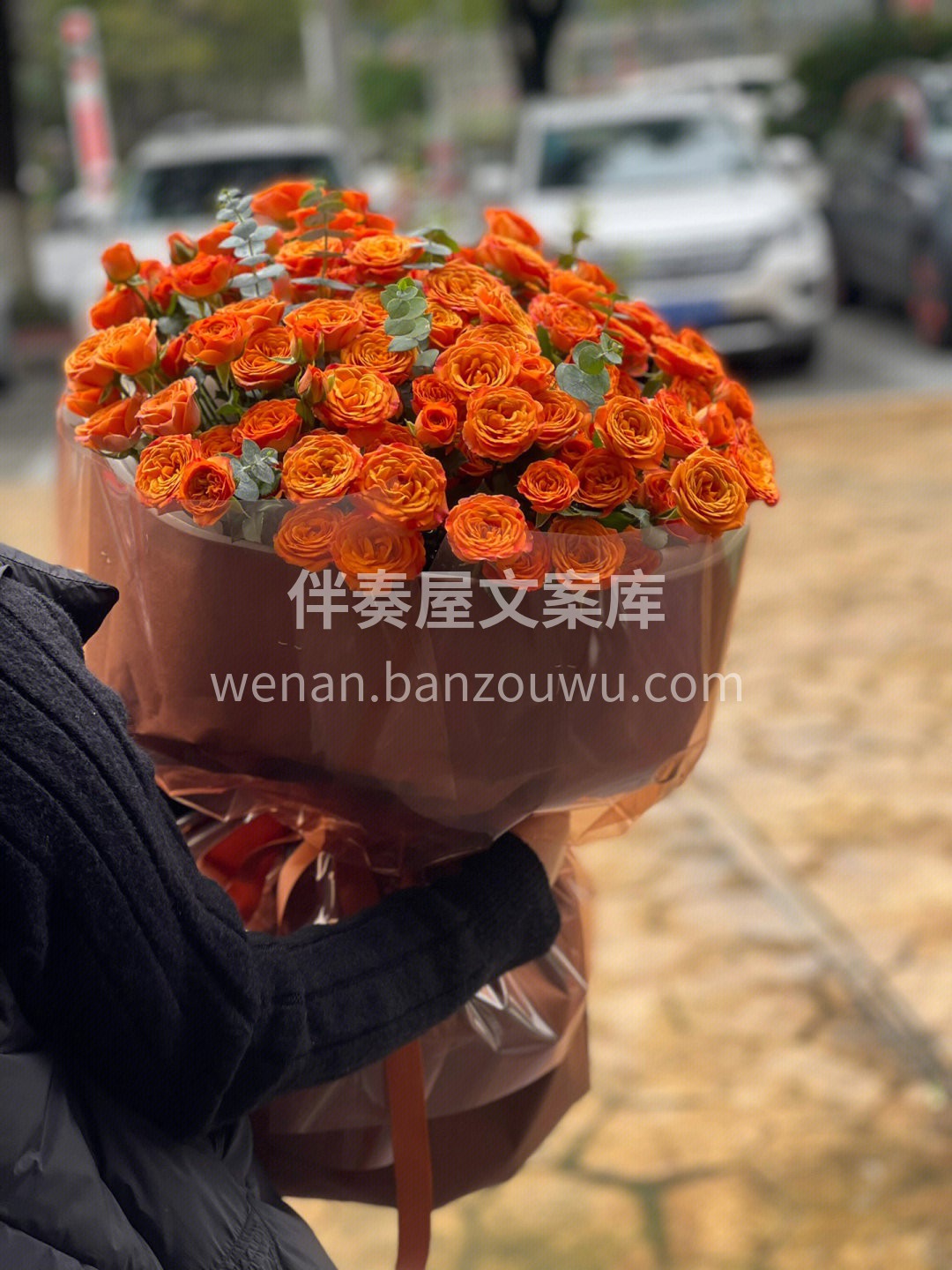 最近店里卖的超好的橙色芭比玫瑰花束 颜色 配图2