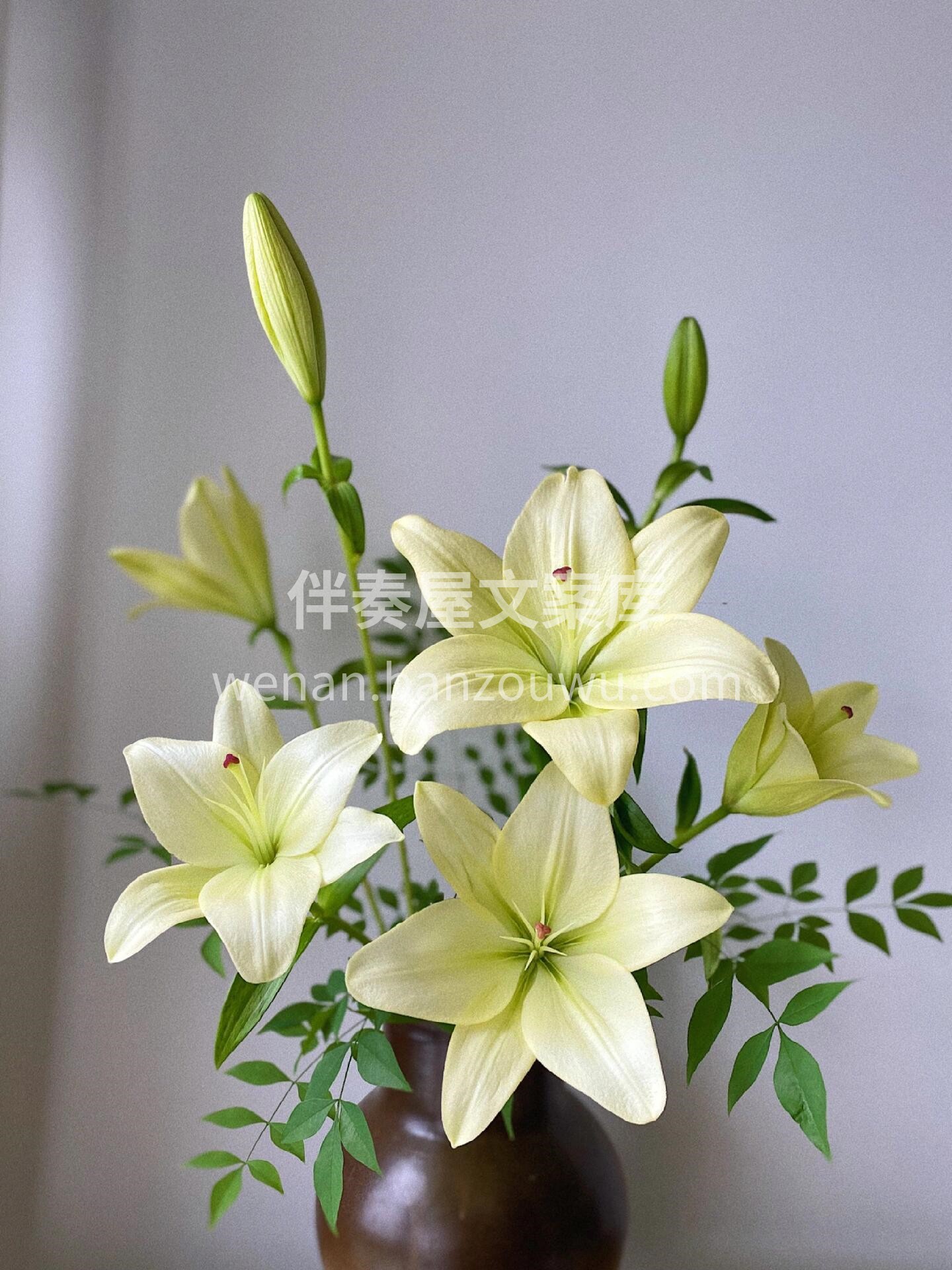 百合瓶插花🌼 🌸赏花的时候 花也在赏我 就像伯乐和千里马的关 配图2