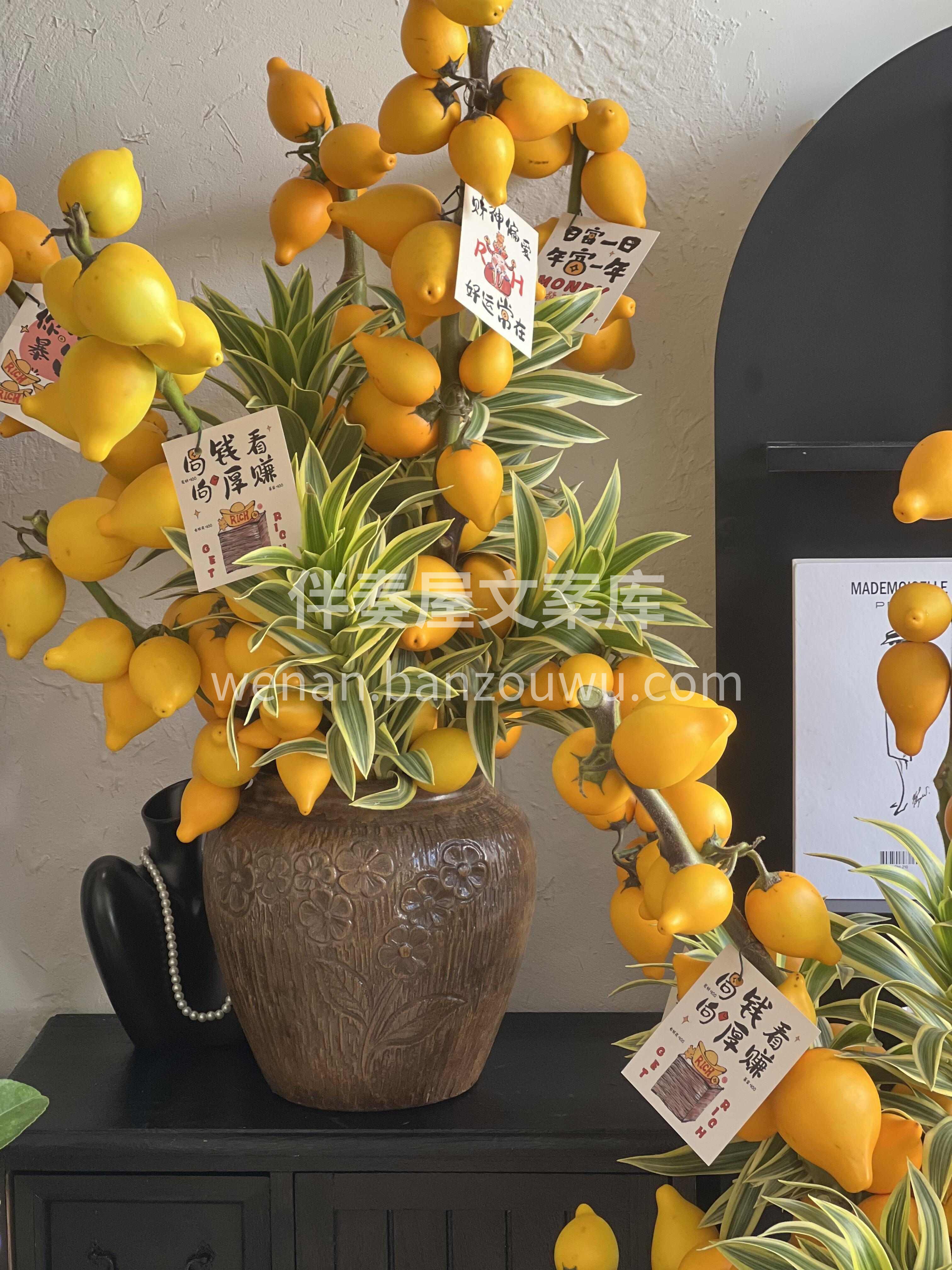 瓶插五代果🍋寓意五代同堂✨ 平安吉祥伴四季🍀耐看又招财✨ 配图2
