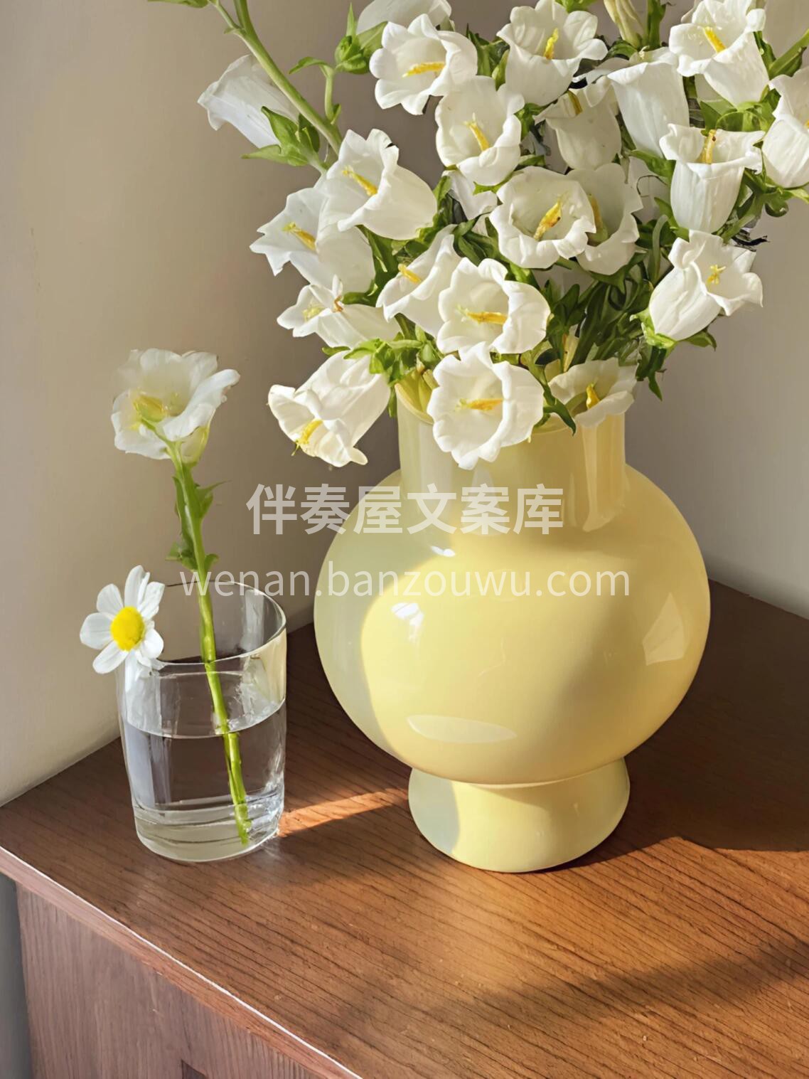 风铃瓶插花🌸 白色🤍象征无暇与纯净 风铃 配图3