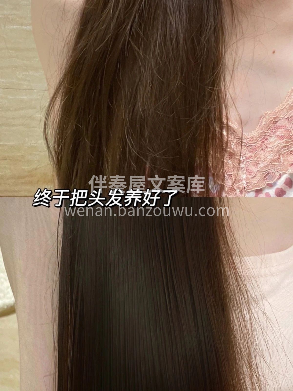 🚿沉浸式头皮护理 集改善油发枯发脱发、解