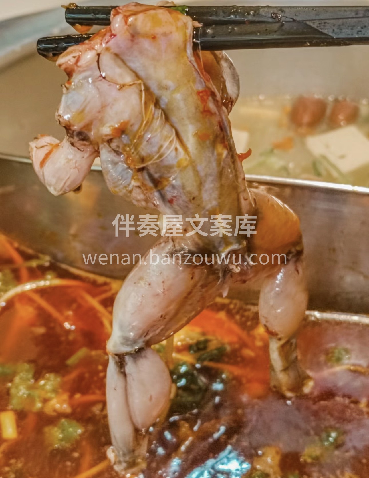 🐸田鸡火锅，舌尖上的美味😍！ 🥘现杀的田 配图3