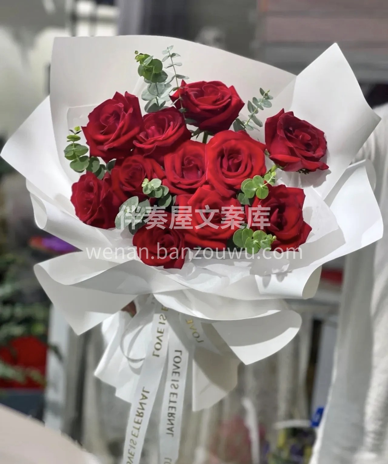 玫瑰花的花语：“爱意落山河，花满碎星辰。 配图3
