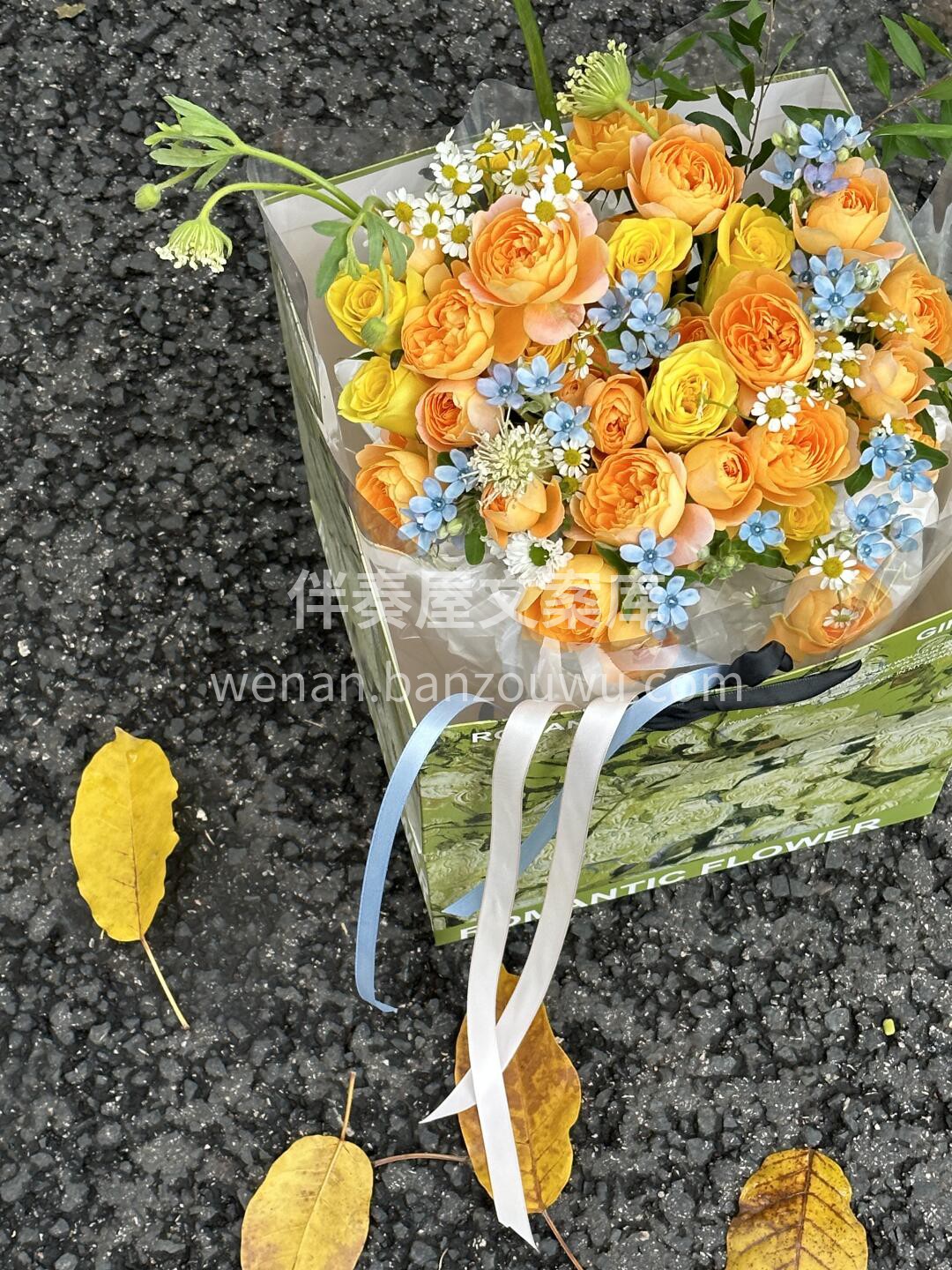 充满了自由与阳光的花花🌸 暖洋洋☀的颜色 配图1