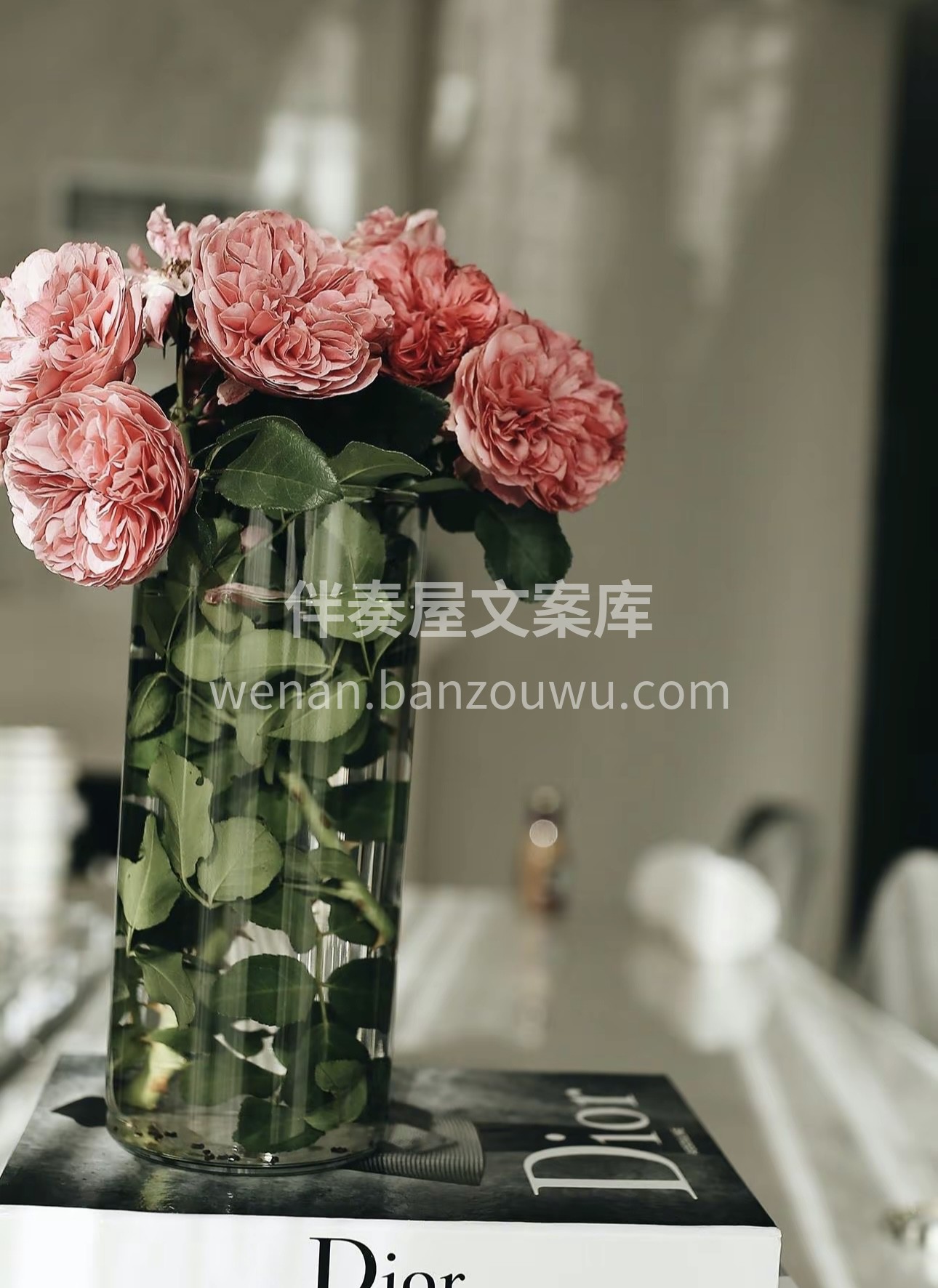 听说爱花花的人爱生活，还很善良。我觉得真 配图3