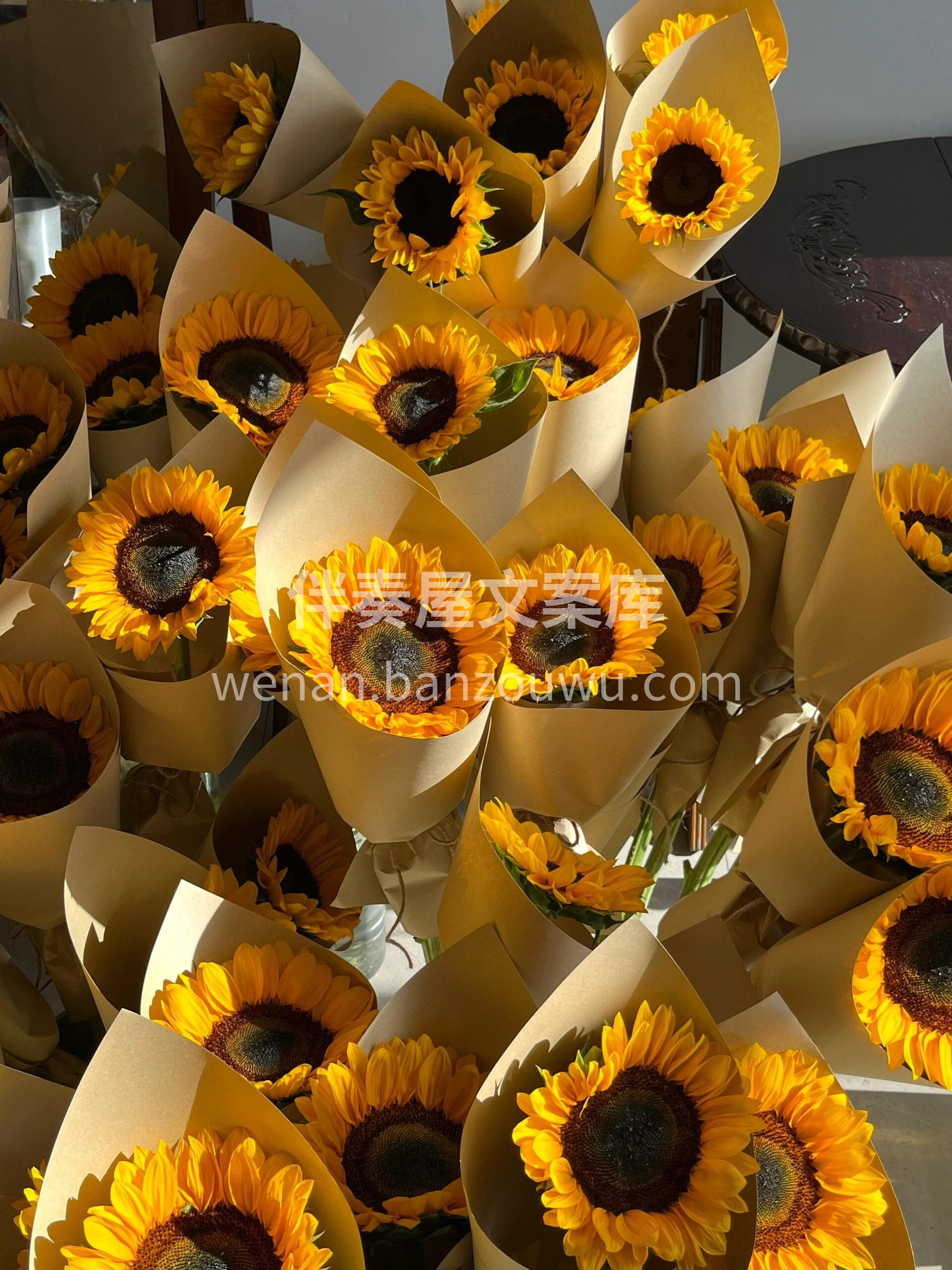 教师节单支向日葵🌻 小小的一支也可以做到很精致☀️ 配图1