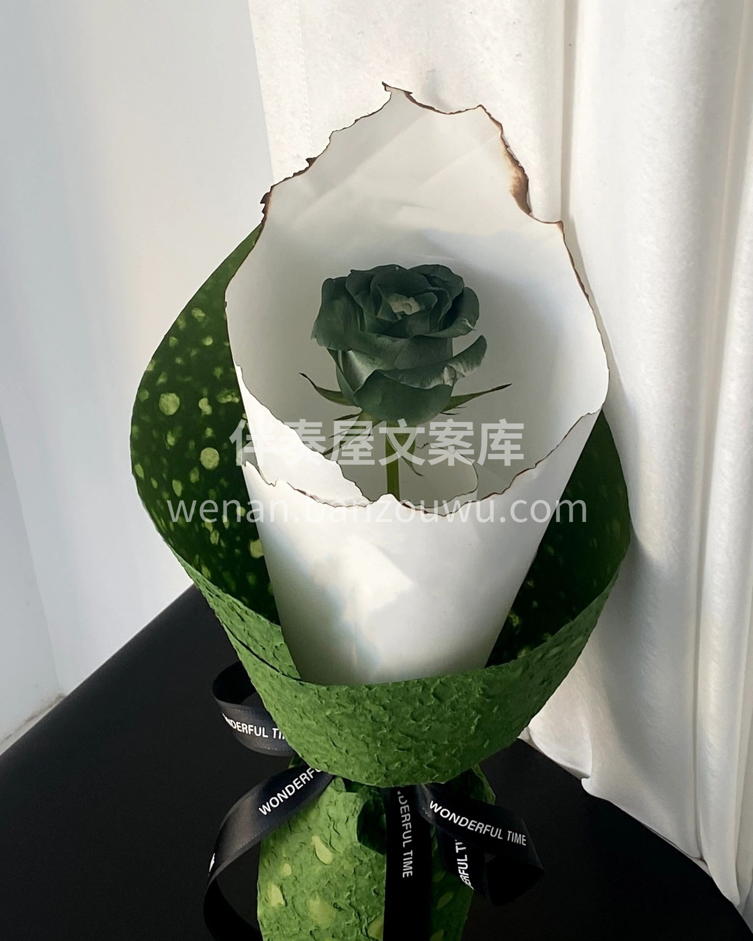 烧边苏格兰绿玫瑰花束 与众不同的苏格兰绿 配图3