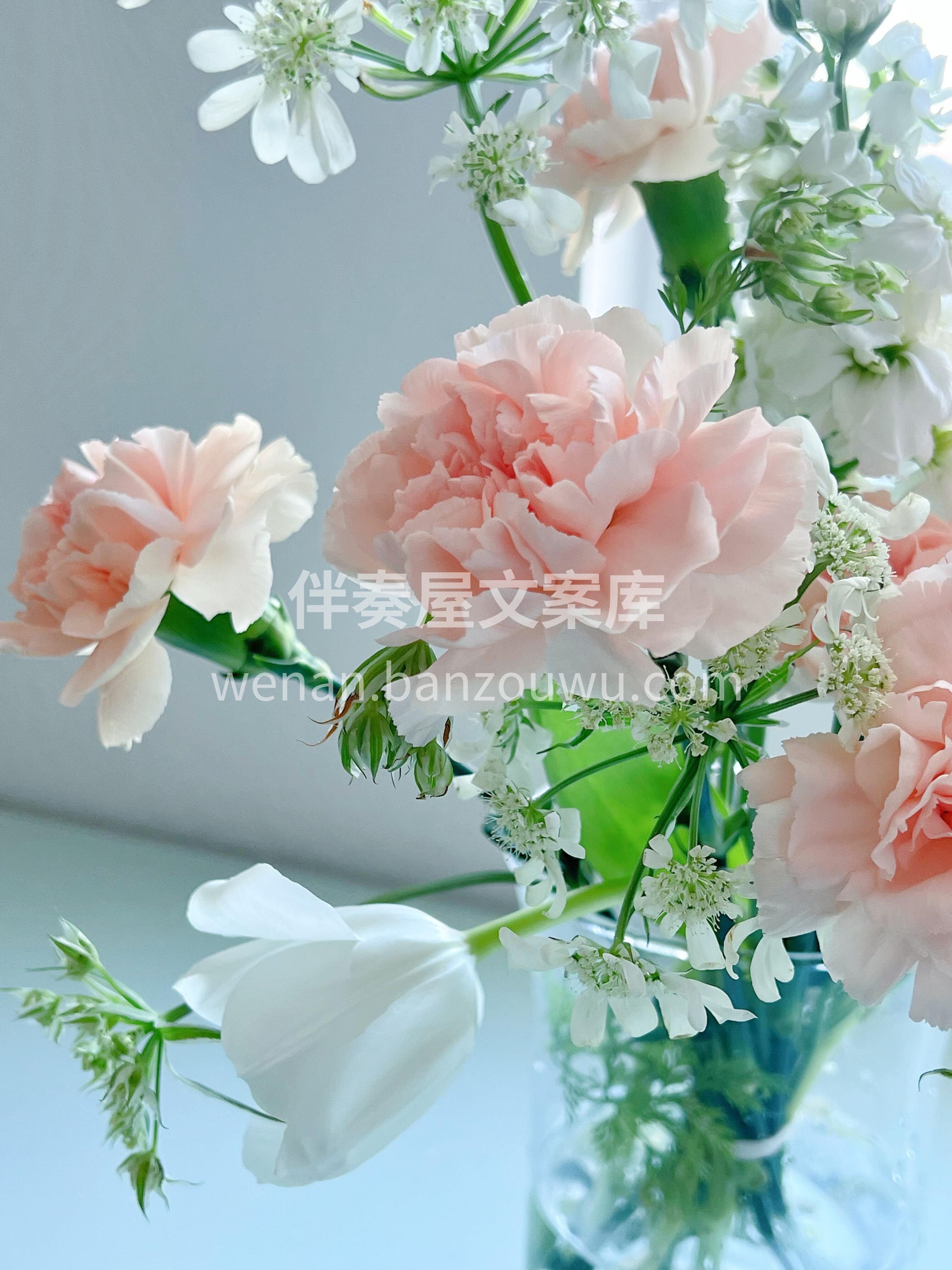 康乃馨母亲节瓶插花🌸 坠入🌿法式的浪漫 爱花如养人 最好的花 配图1