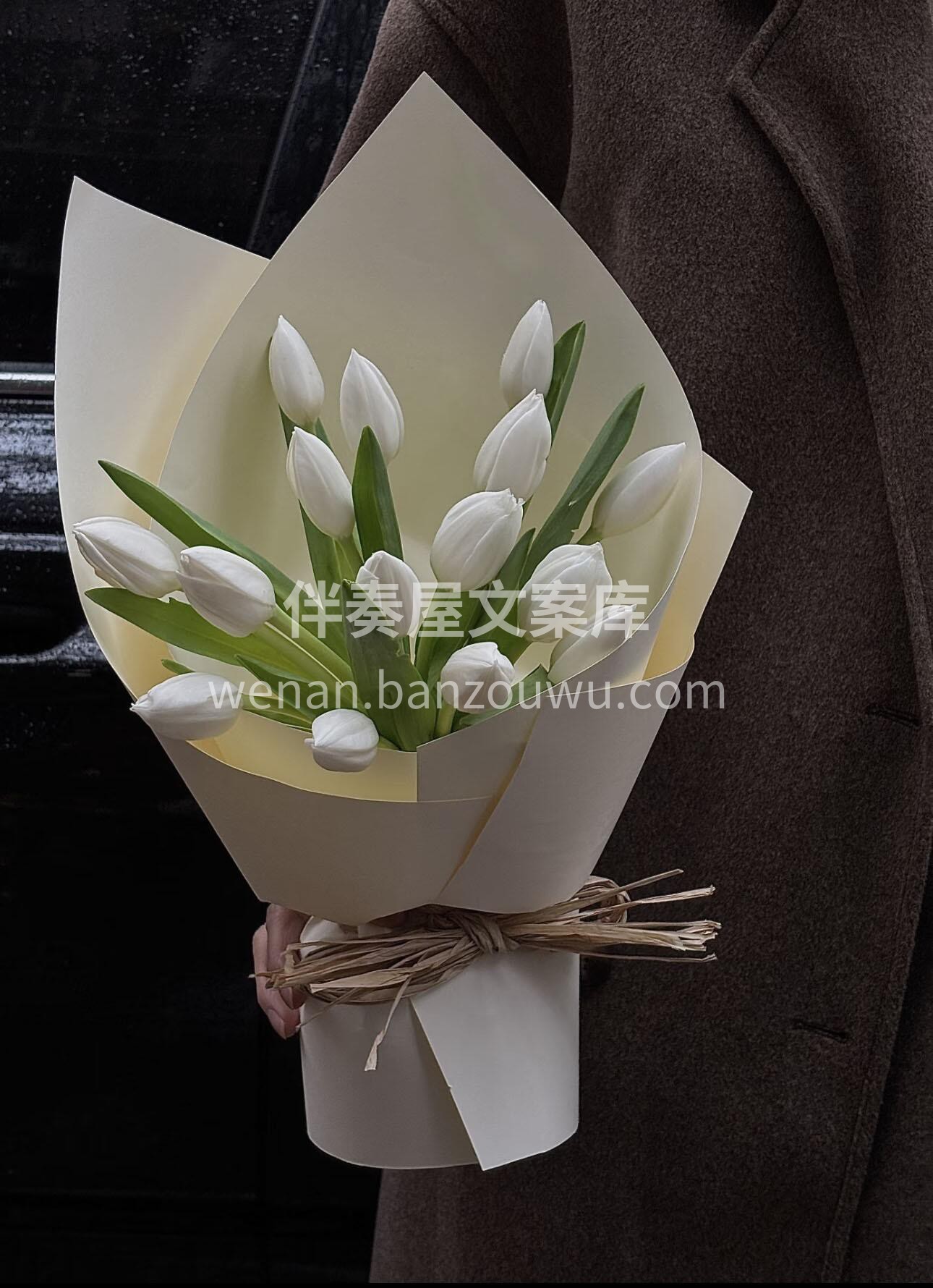 极简白郁金香花束🌷 🍓郁见美好🤍 诠释最动人的心意 配图1