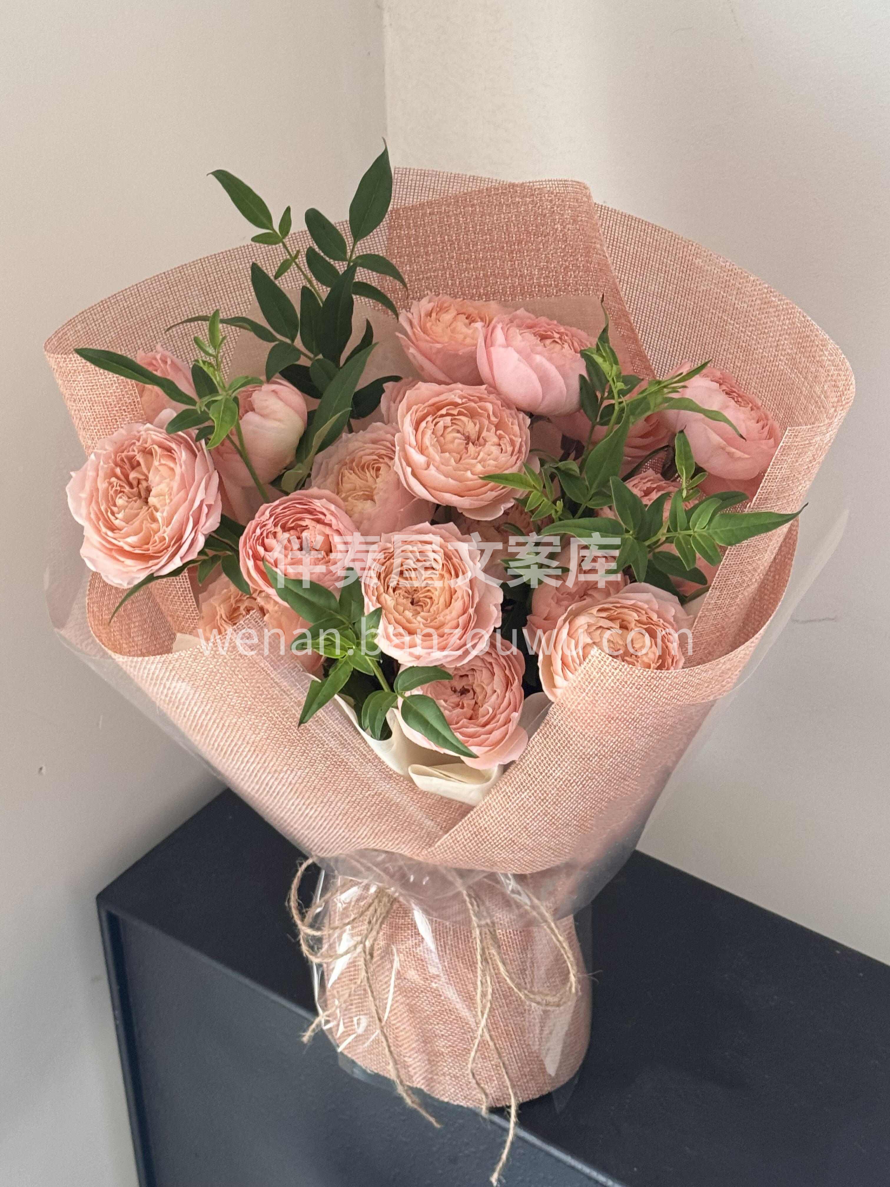 罗密欧的玫瑰“朱丽叶塔”🌸 橘粉色朱丽叶塔 像极了落日西下的 配图2