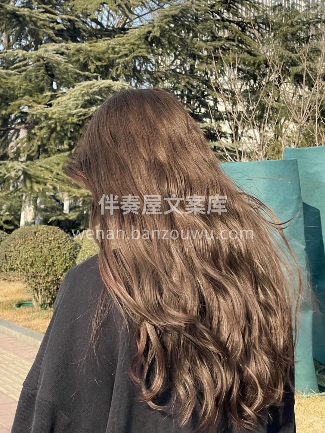 在平淡无奇的日子里 为自己找到一点光 偶