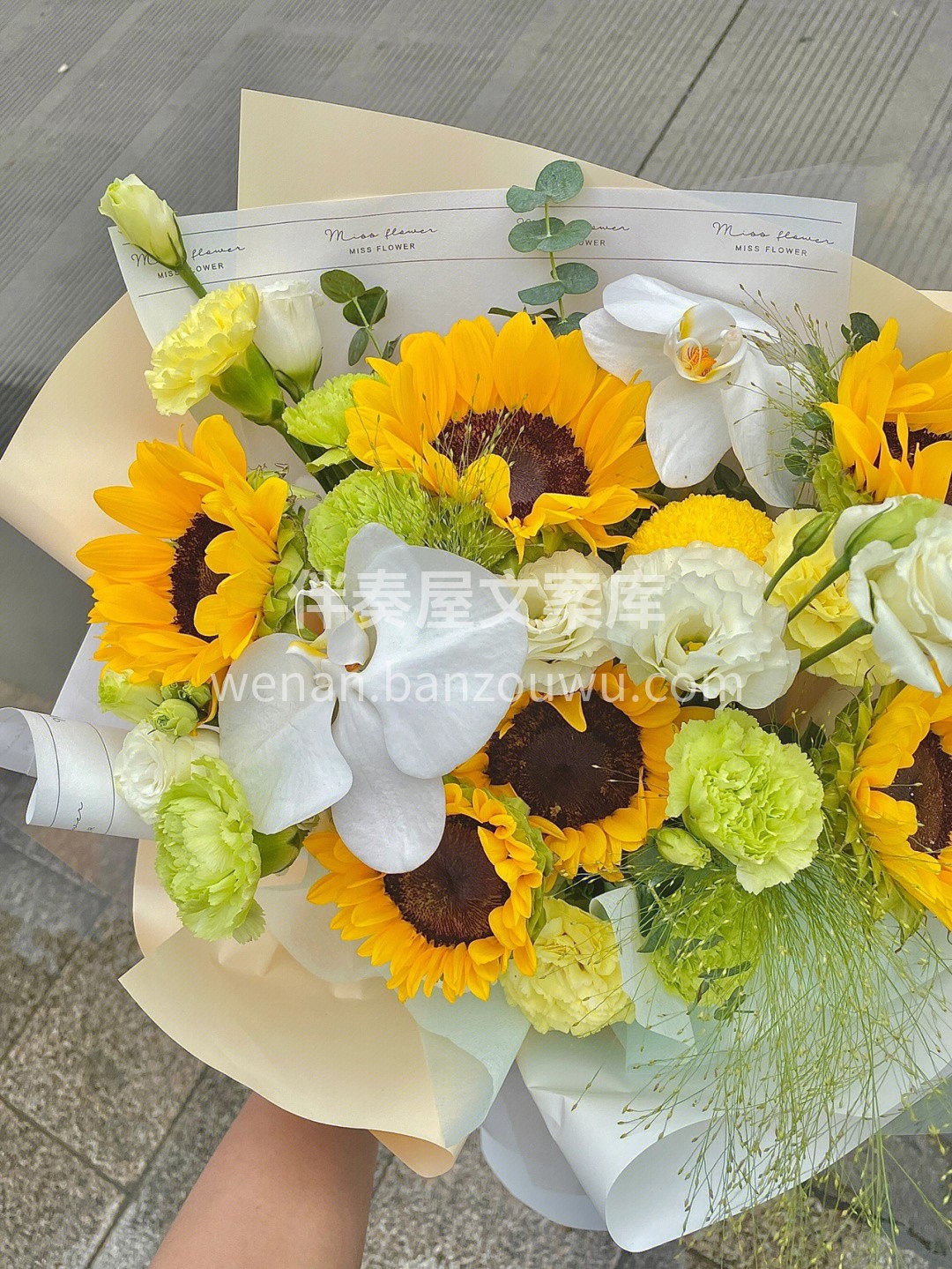 教师节森系花束款 🌻向日葵搭配蝴蝶兰超好 配图2