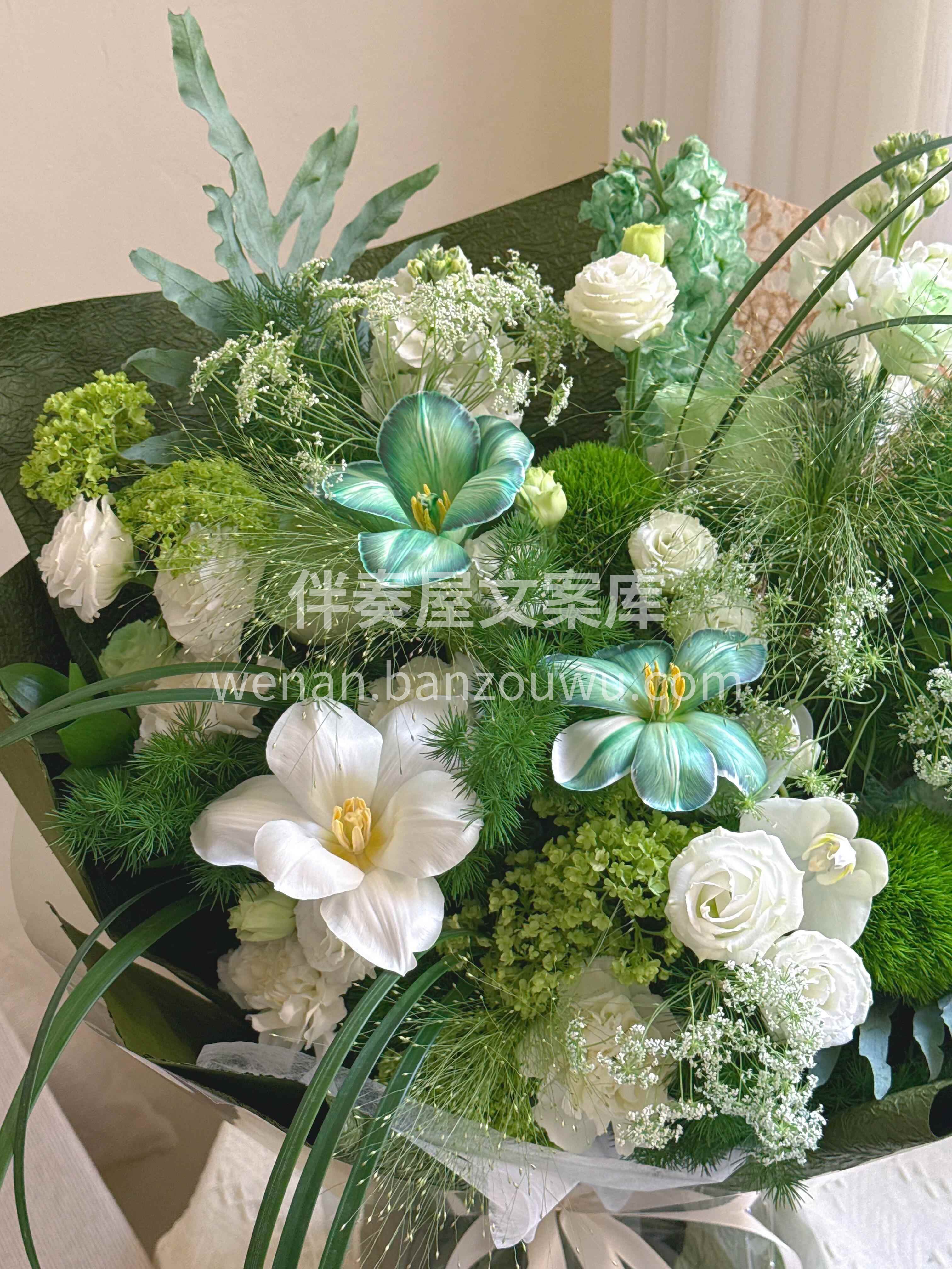 偏爱干净清新感的宝子🍀 这束白绿花束直接 配图1