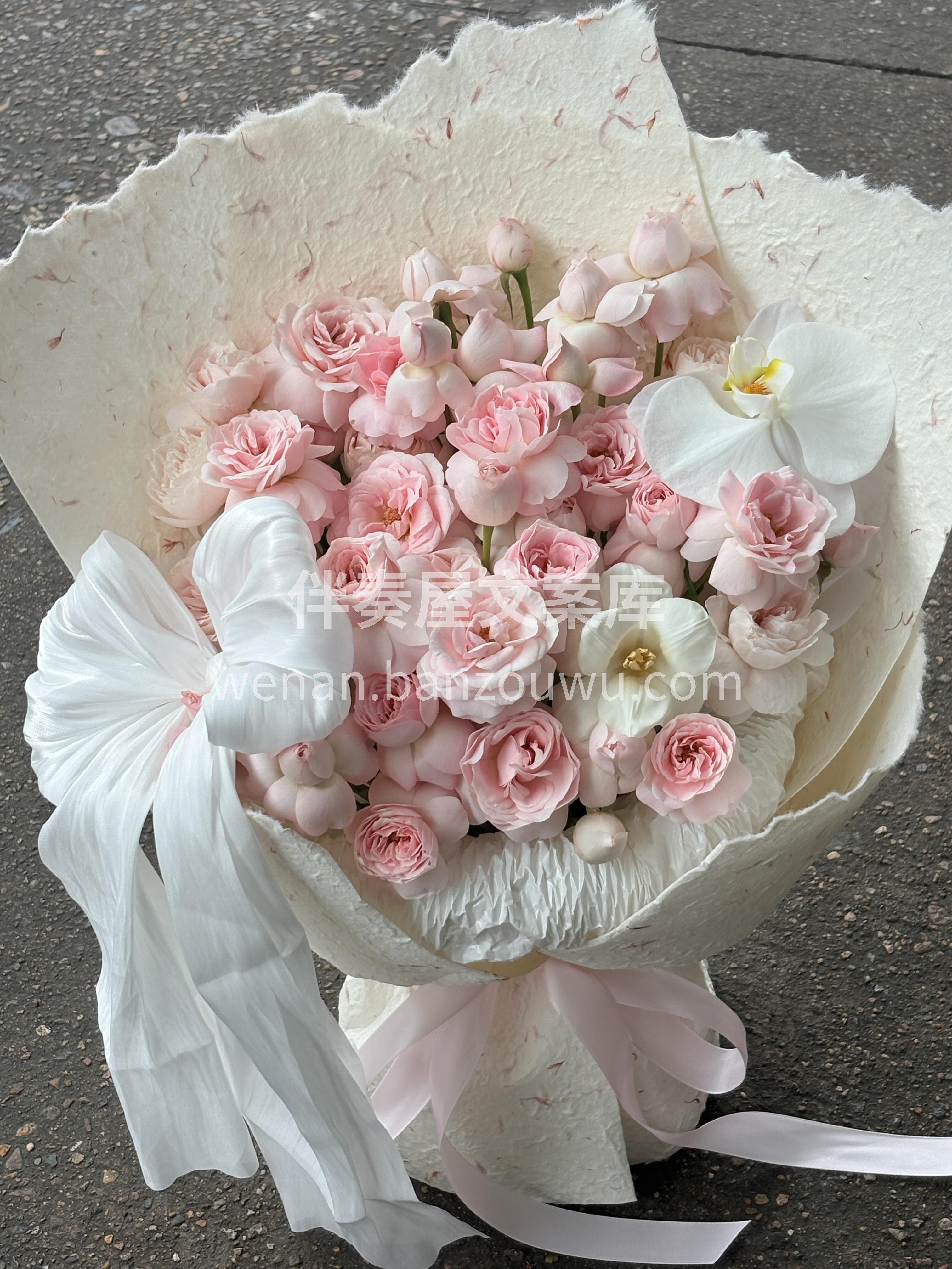 仙子之吻来咯🌸 淡粉色花瓣与杯状花型🌺共 配图2