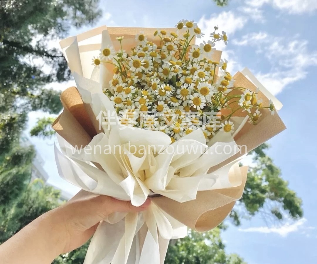 小菊花的花朵娇小可爱，花茎短小笔直，如同 配图2