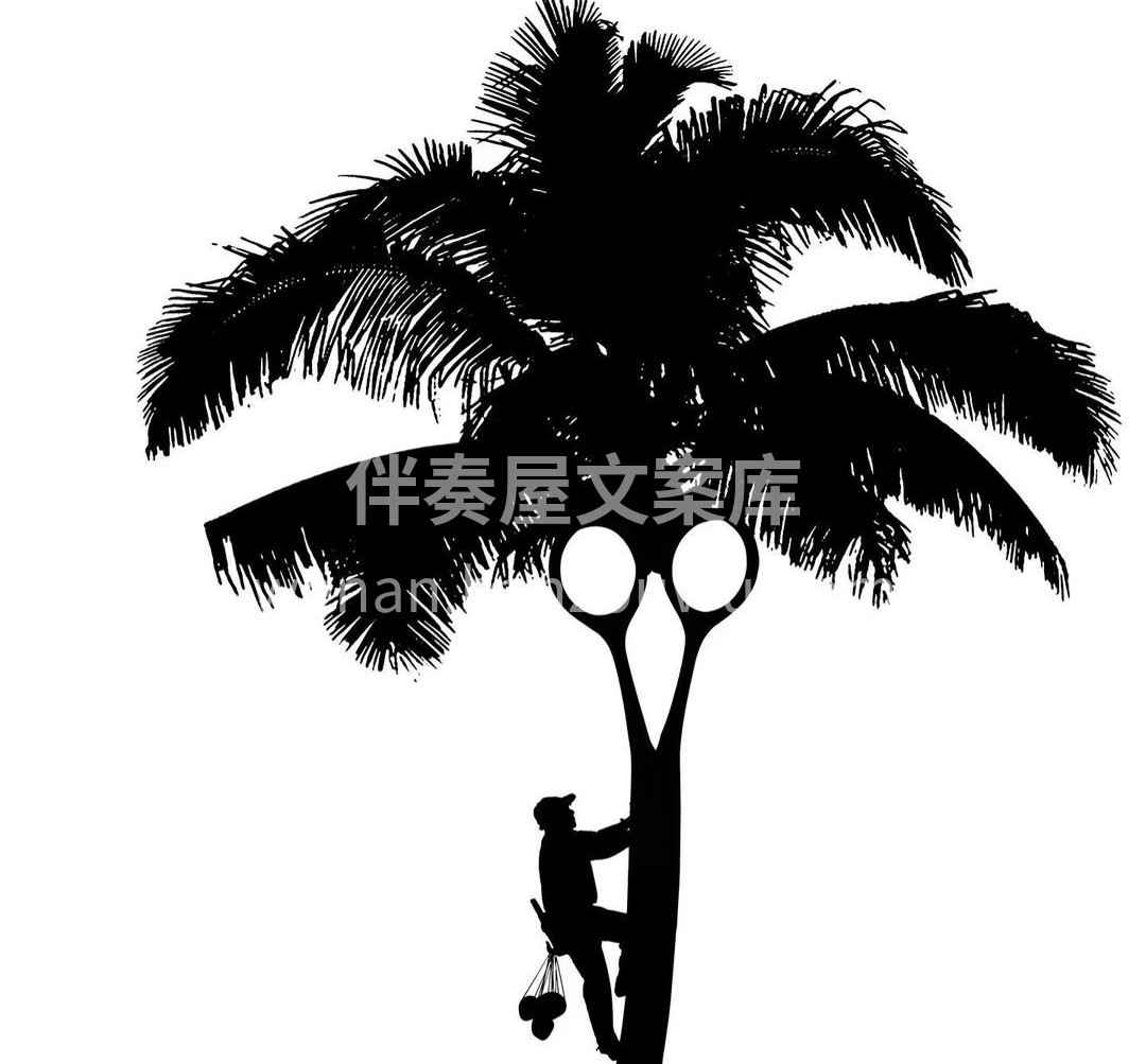 世人都想拯救世界 而我只想拯救你的头发！ 配图1
