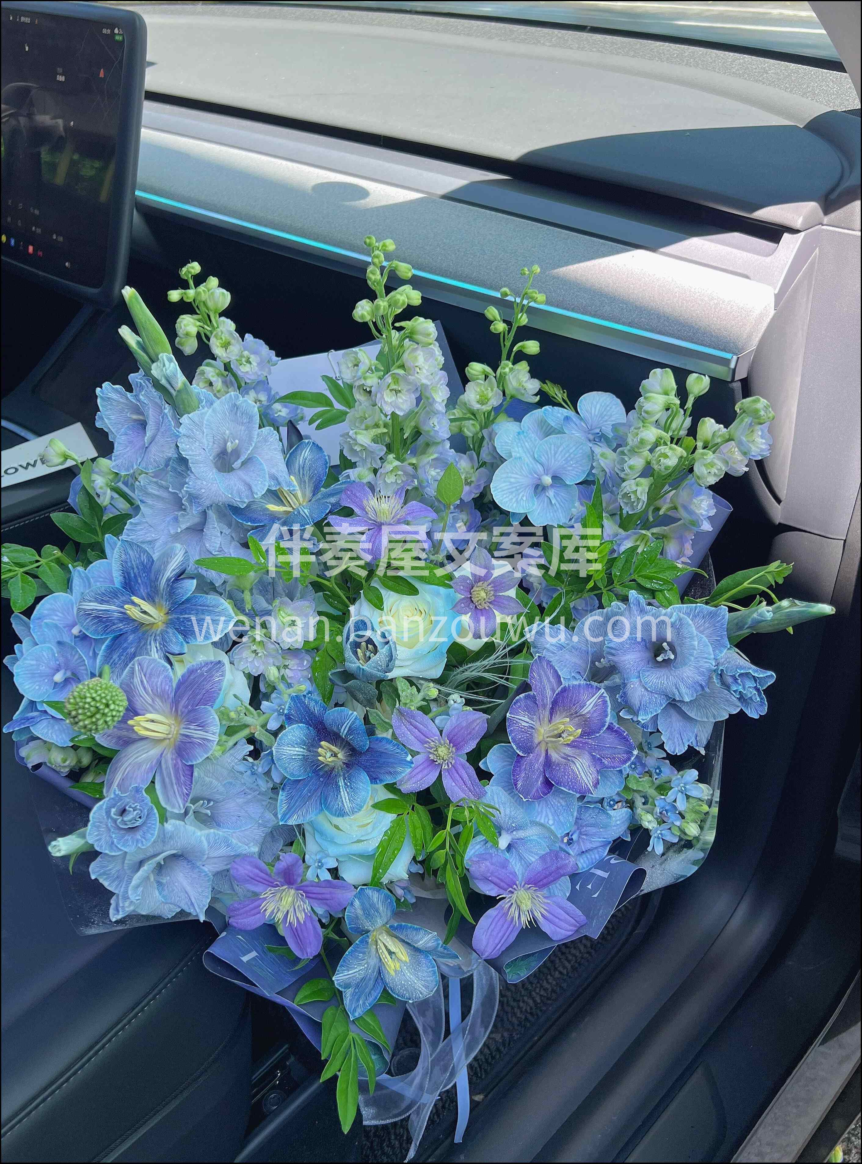蓝紫配色是夏天的毕业礼💜💙 蓝是答辩时窗外的天 紫是熬夜改论 配图3