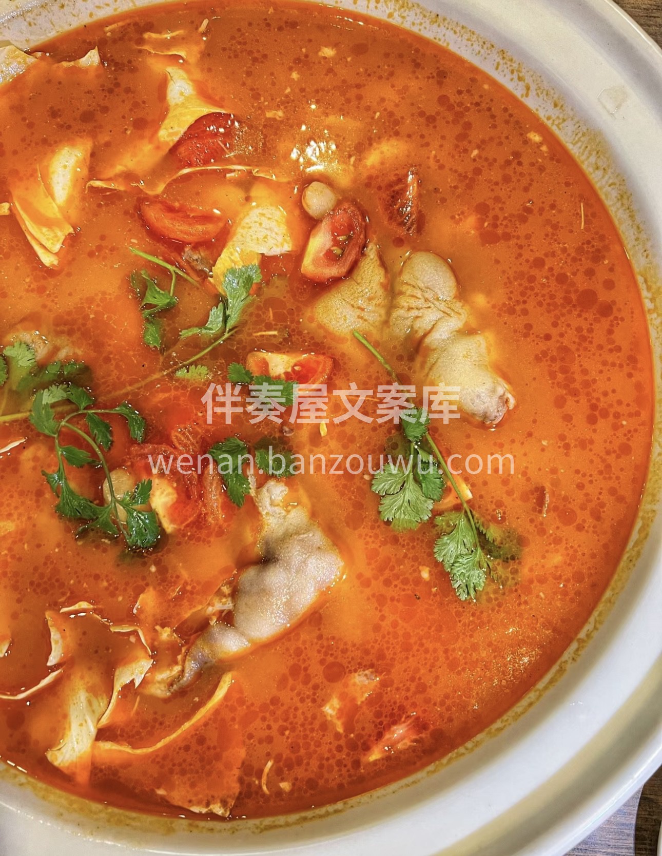 一碗酸汤，一只猪脚，成就一锅美味。酸汤猪 配图3