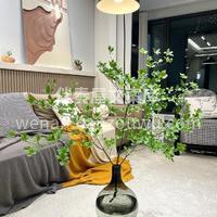 拥有一颗吊钟🌿就相当于拥有一片森林 真的 配图1