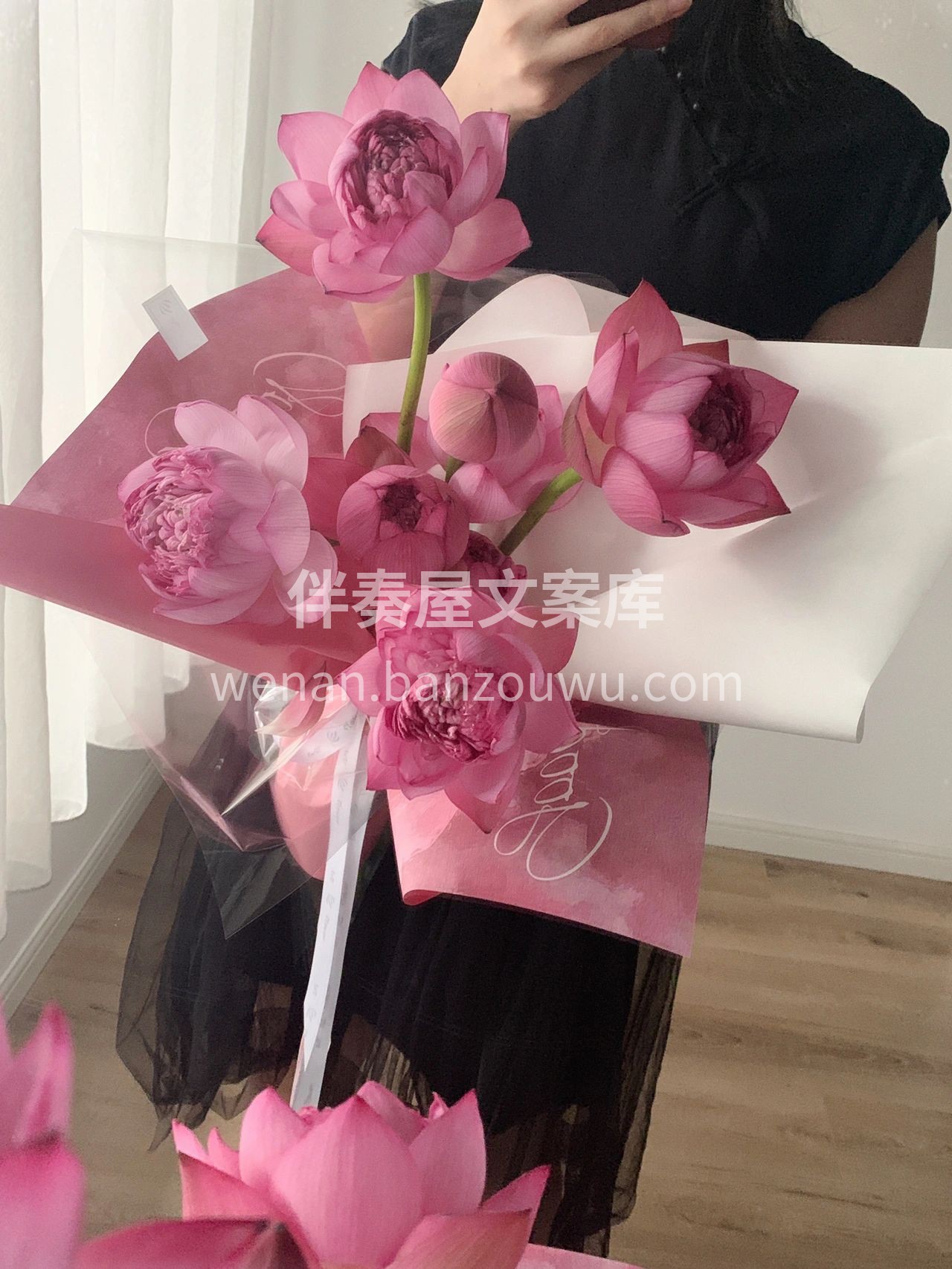 夏天🍉的浪漫从荷花开始吧🌸 专属夏日☀的 配图1