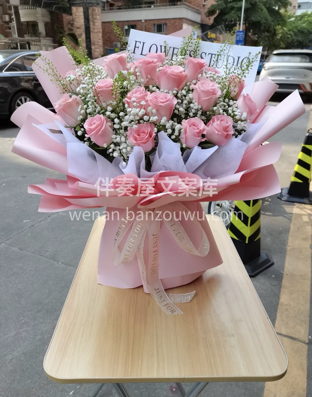 每日一束花💐【康乃馨】|||🌷世界上最美 配图3