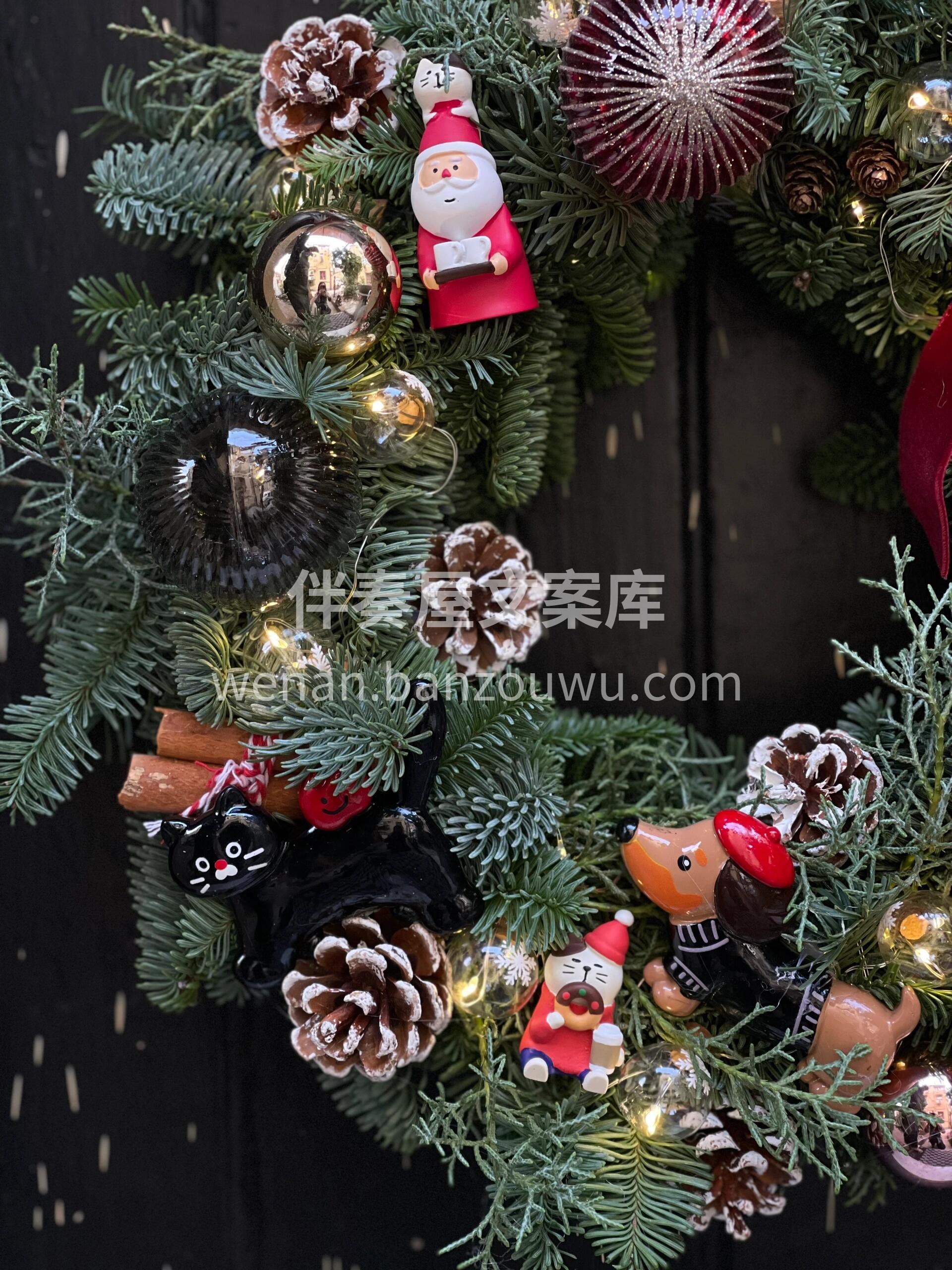 🎄松香裹着柏香 带来了属于冬天❄的童话  配图2