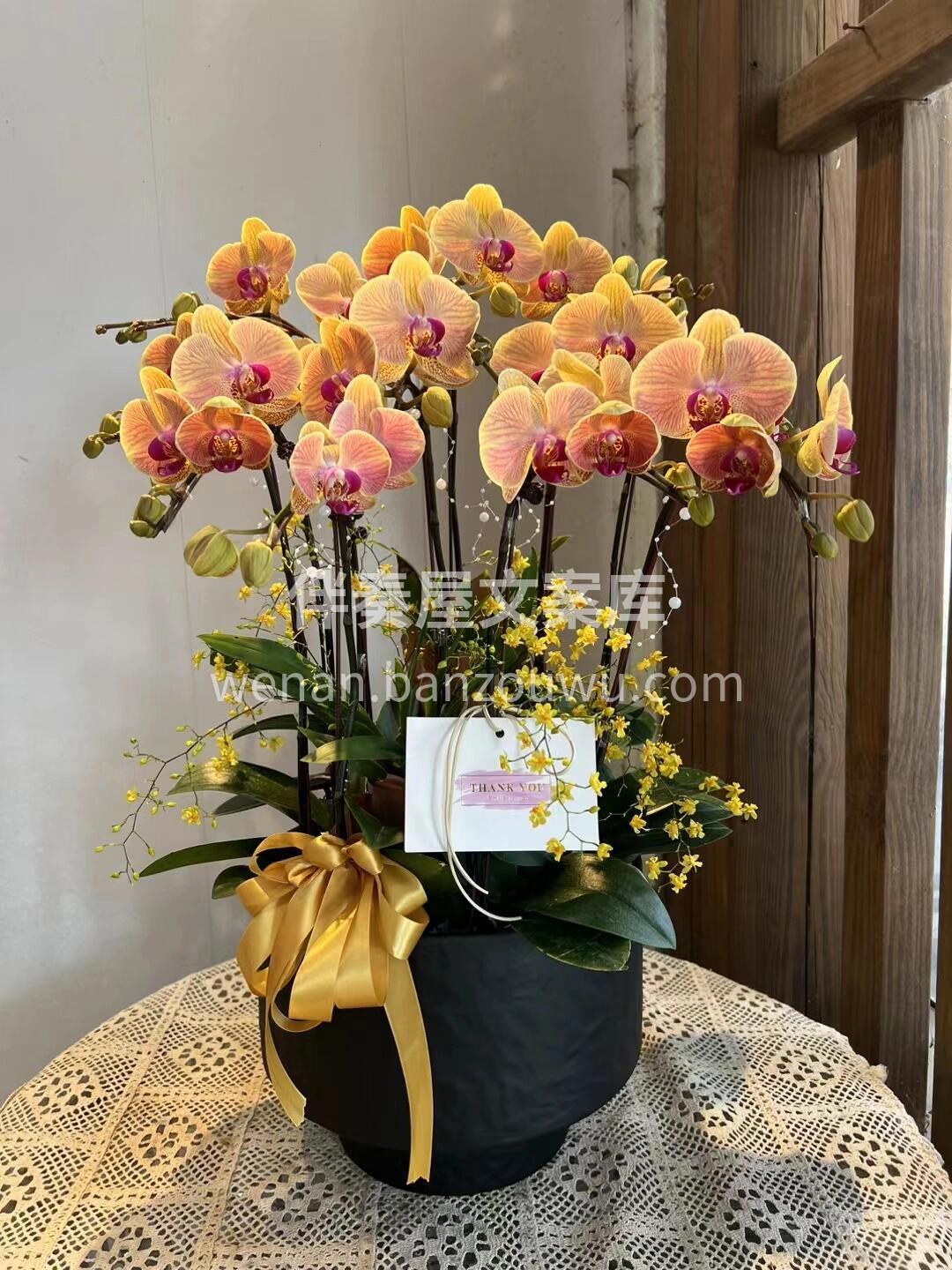 蝴蝶兰盆景🪴摆在家里美爆了 大方又惊艳🌸不用费心搭配🌷就把家 配图8