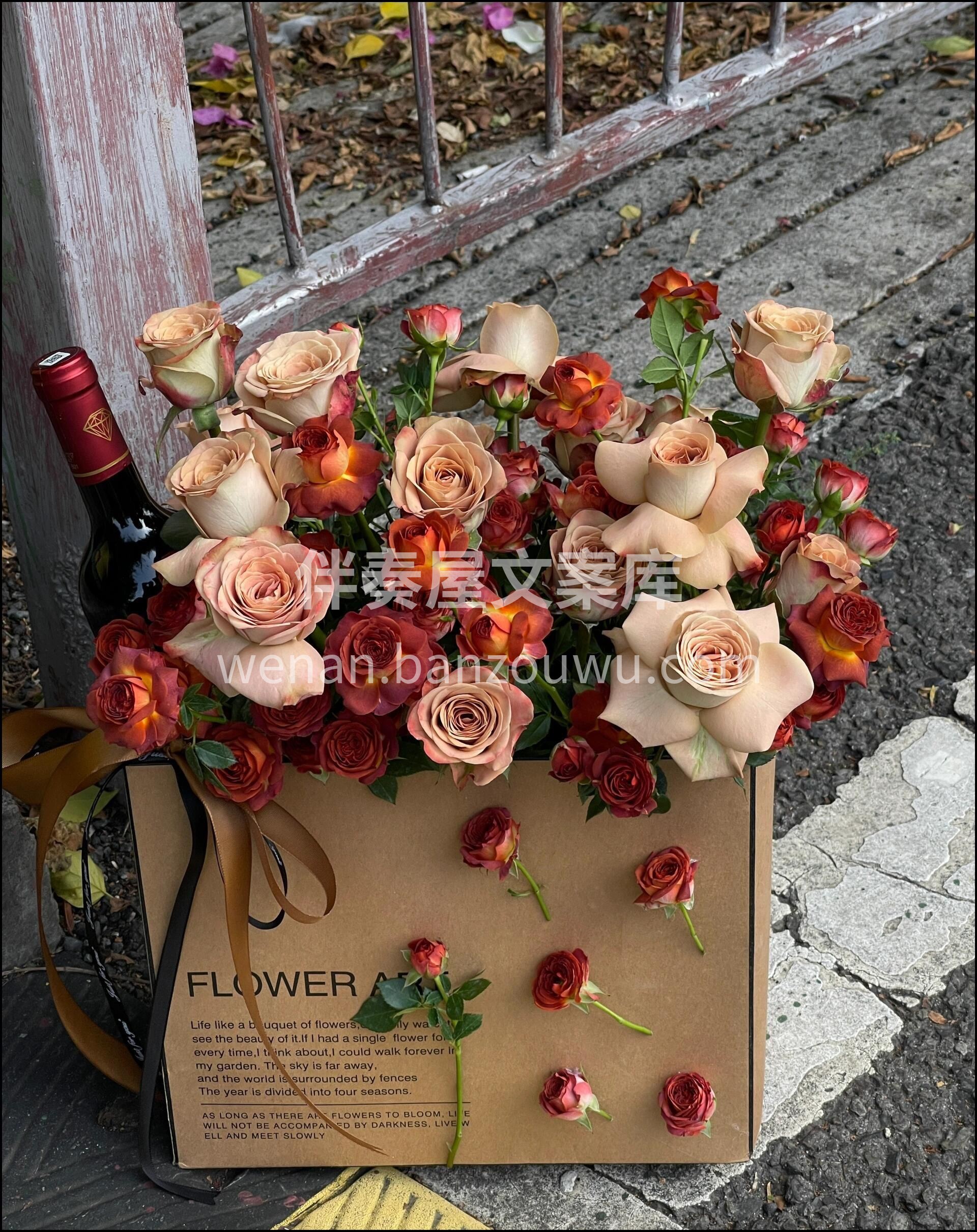 卡布奇诺抱抱袋 如果一定要选一种花代表秋 配图1