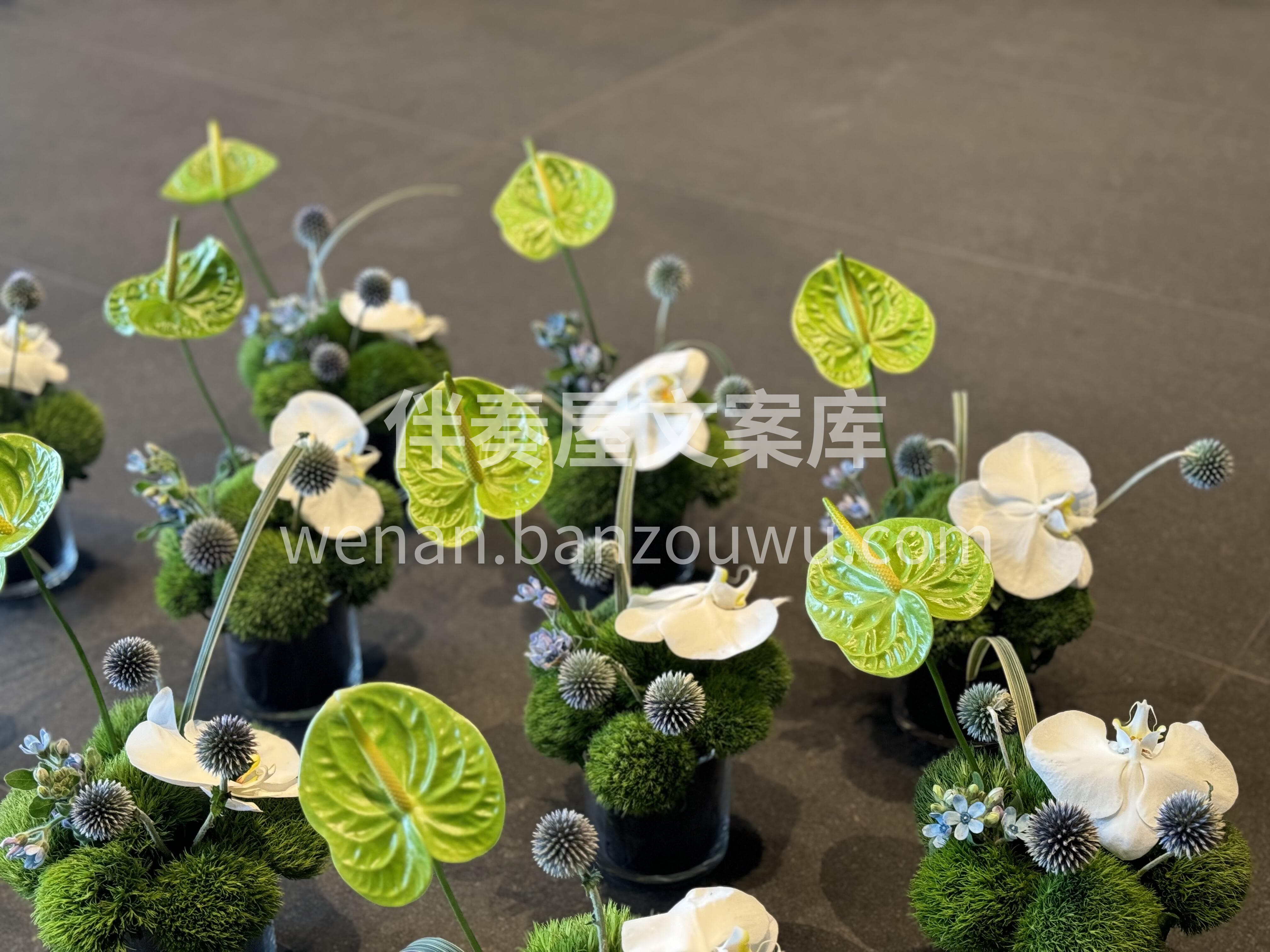 白绿色商务小桌花🍀 办公桌前的清新小确幸 小巧精致摆在桌上不 配图2