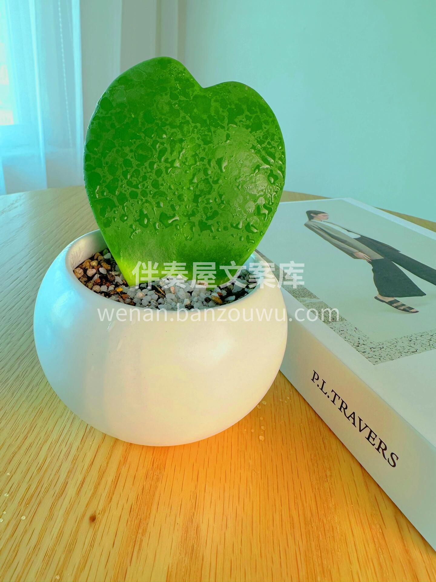 🌱心叶球兰 又名情人球兰，一片心💚 叶片 配图2