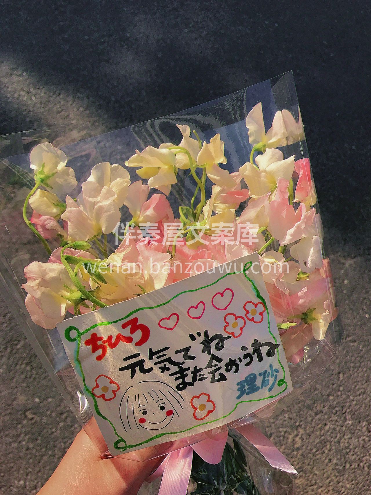 《千与千寻》同款豌豆花束 前段时间超火的 配图2