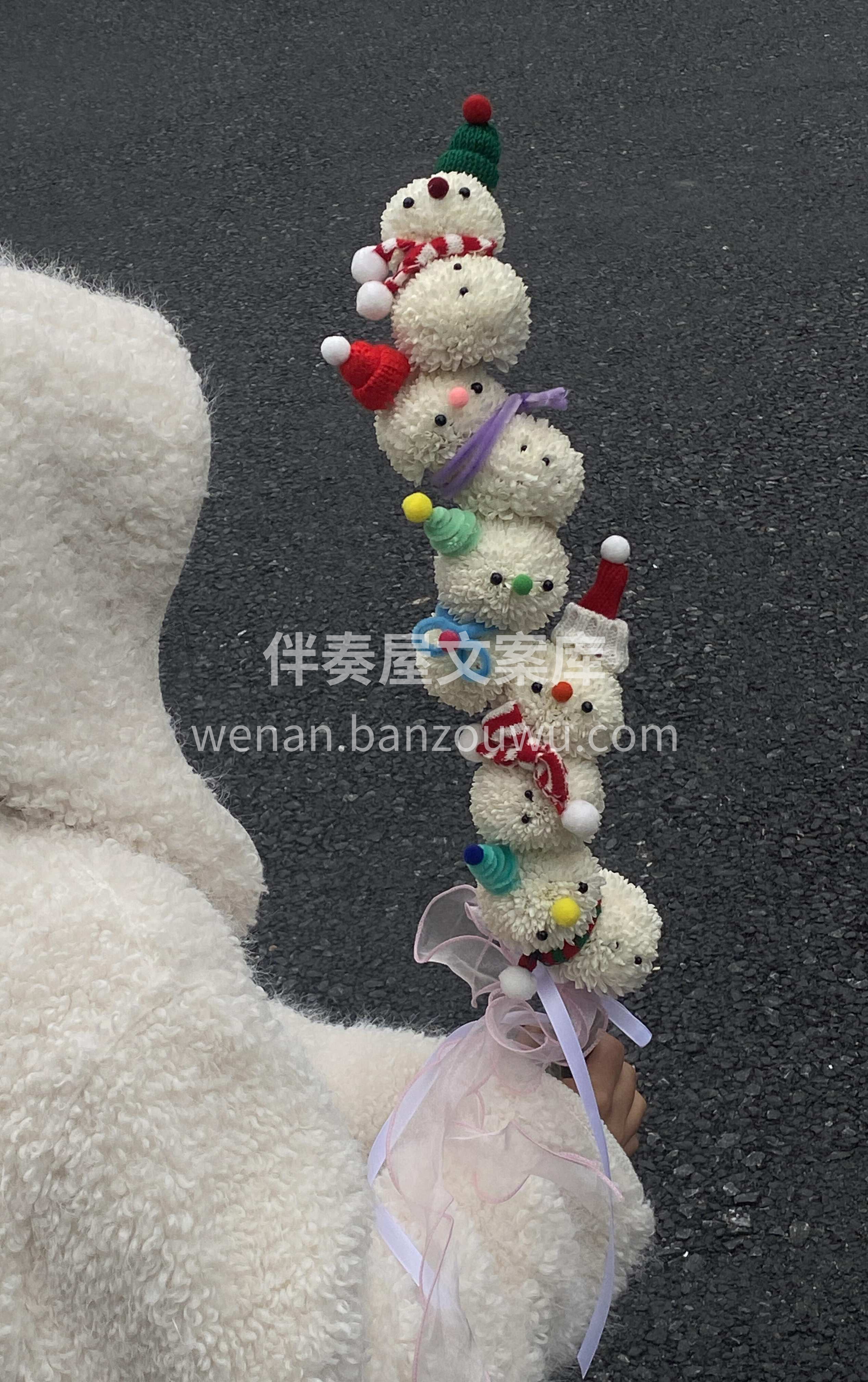 ❄创意爆款雪人花束 别人有一米🍬糖葫芦  配图1