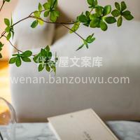 夏天绿植🌿 绿意吊钟 忙里偷个嫌😉 看看 配图3