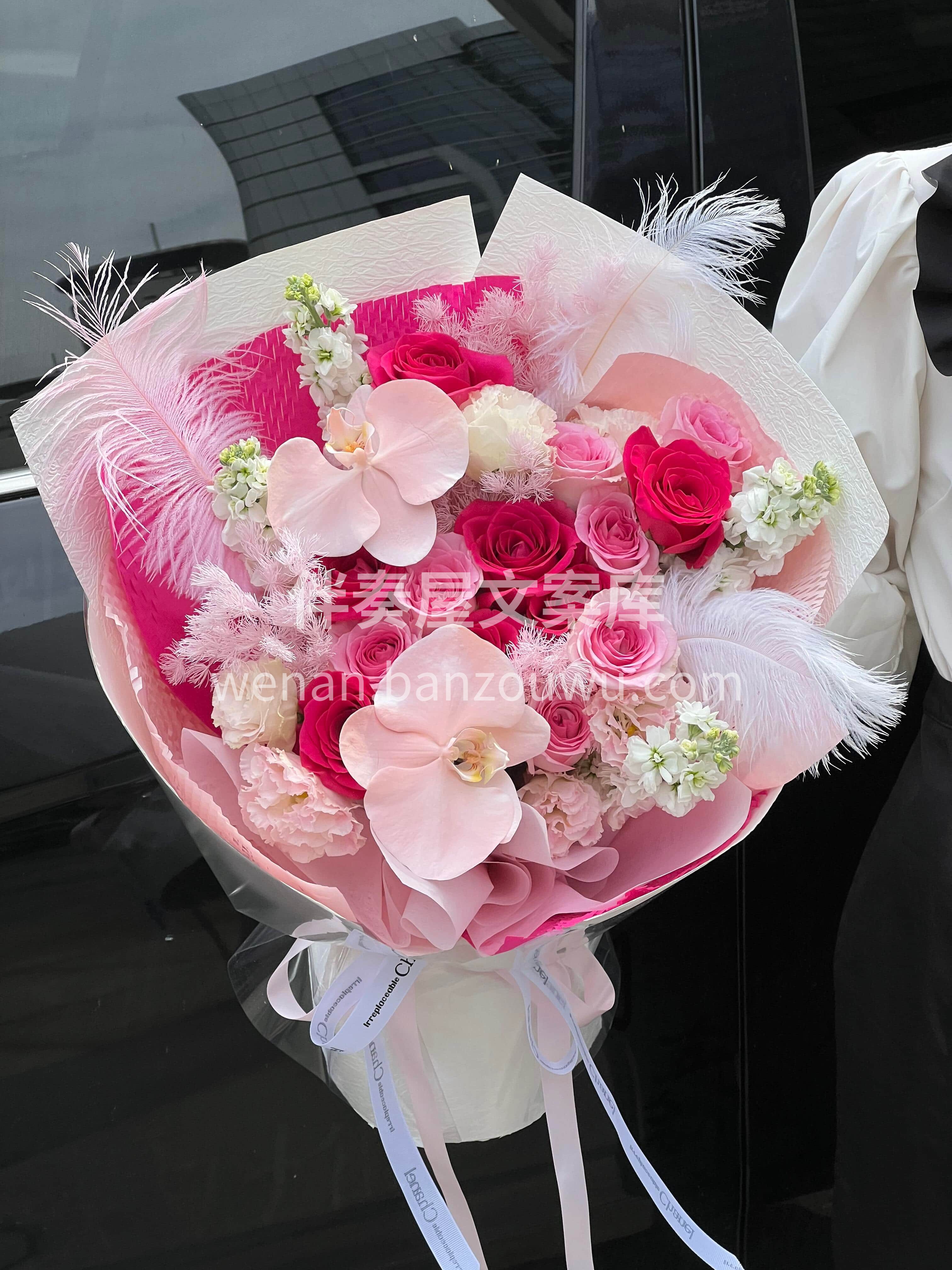 玫粉是心尖的悸动🌸浅粉是眼底的温柔💗 弗洛伊德与洛神相契💕藏 配图2