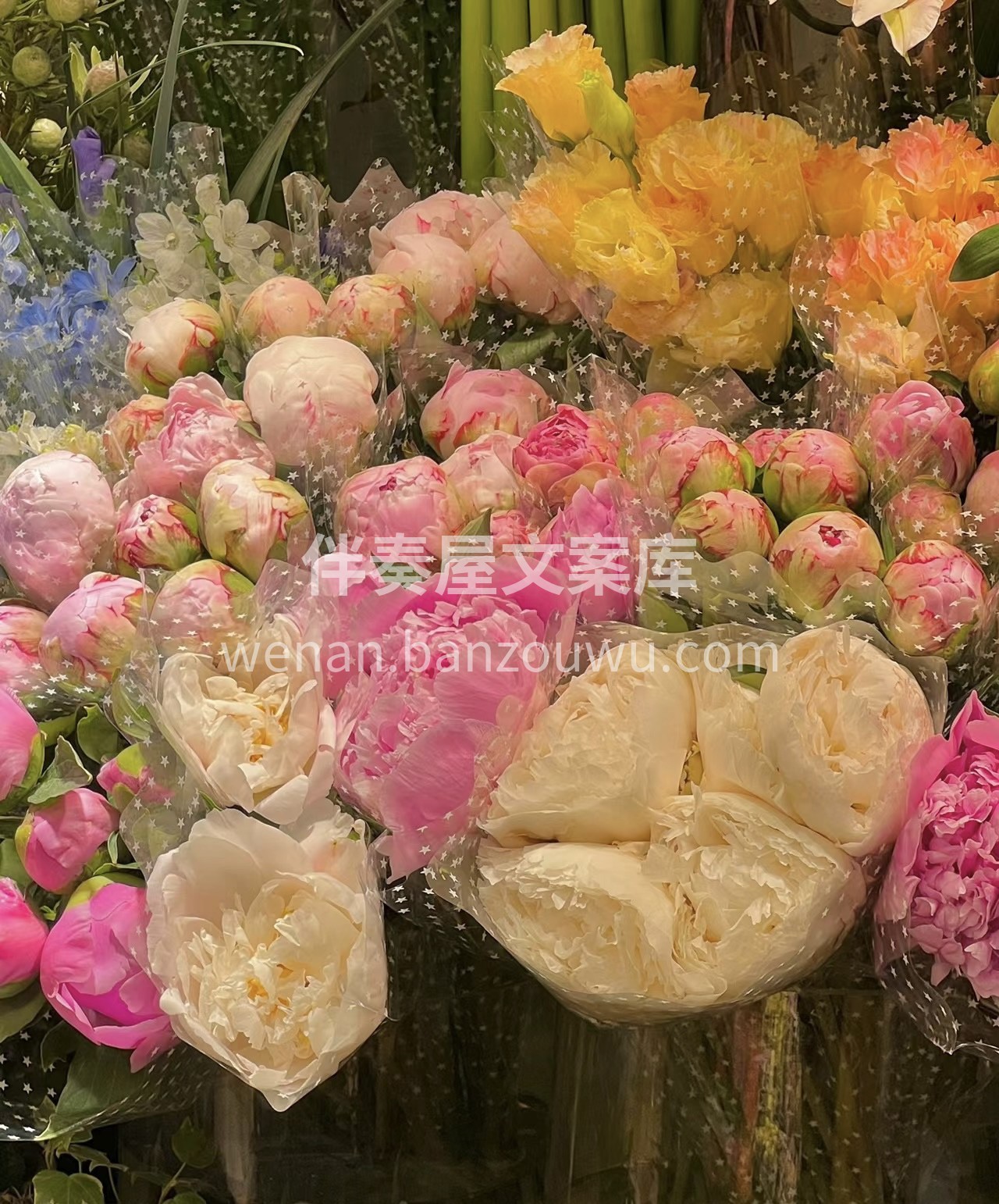 美丽的鲜花，等待着你的青睐。它们将为你的 配图1
