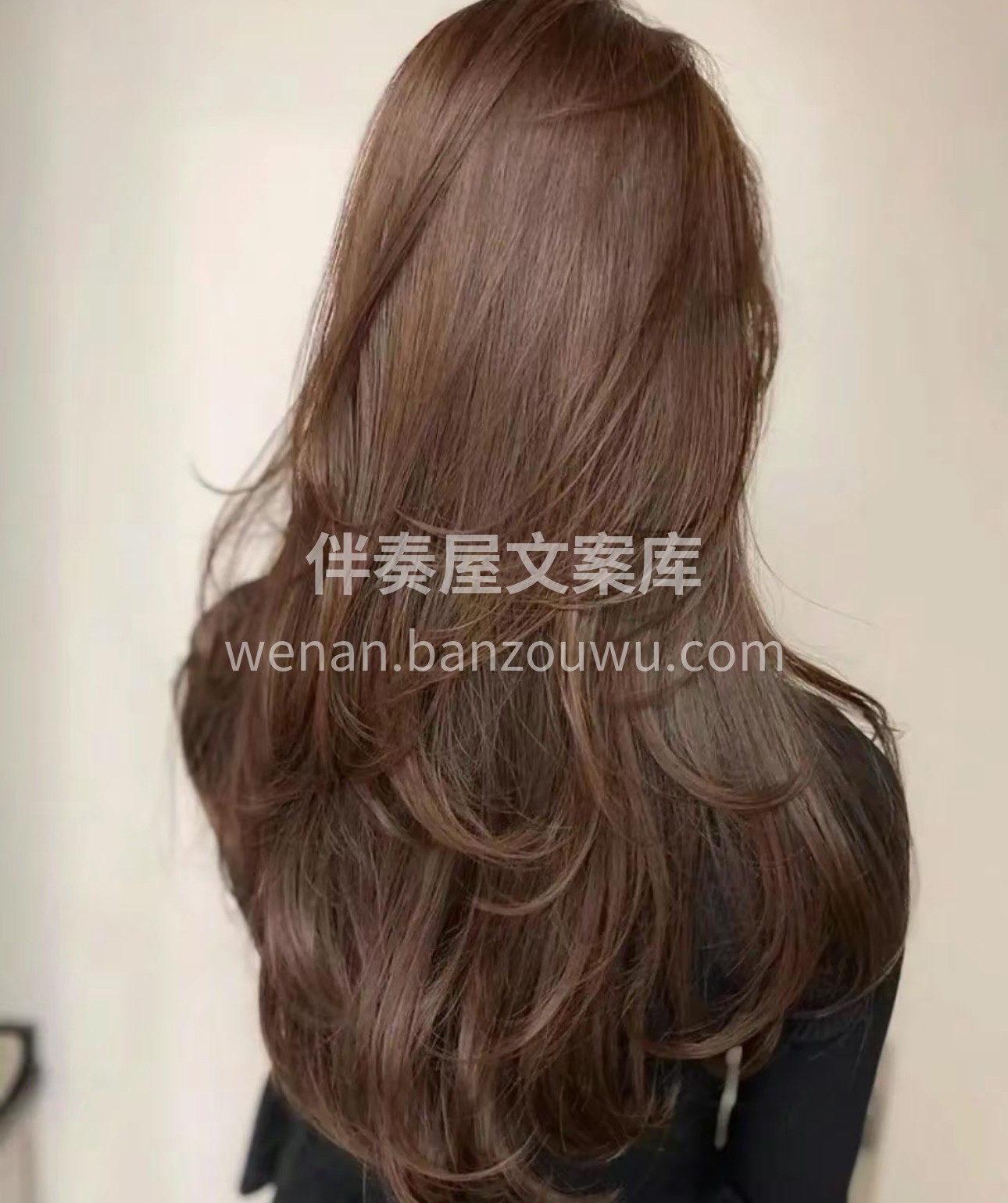 周杰伦的晴天， 莫文蔚的阴天， 不如你找 配图1