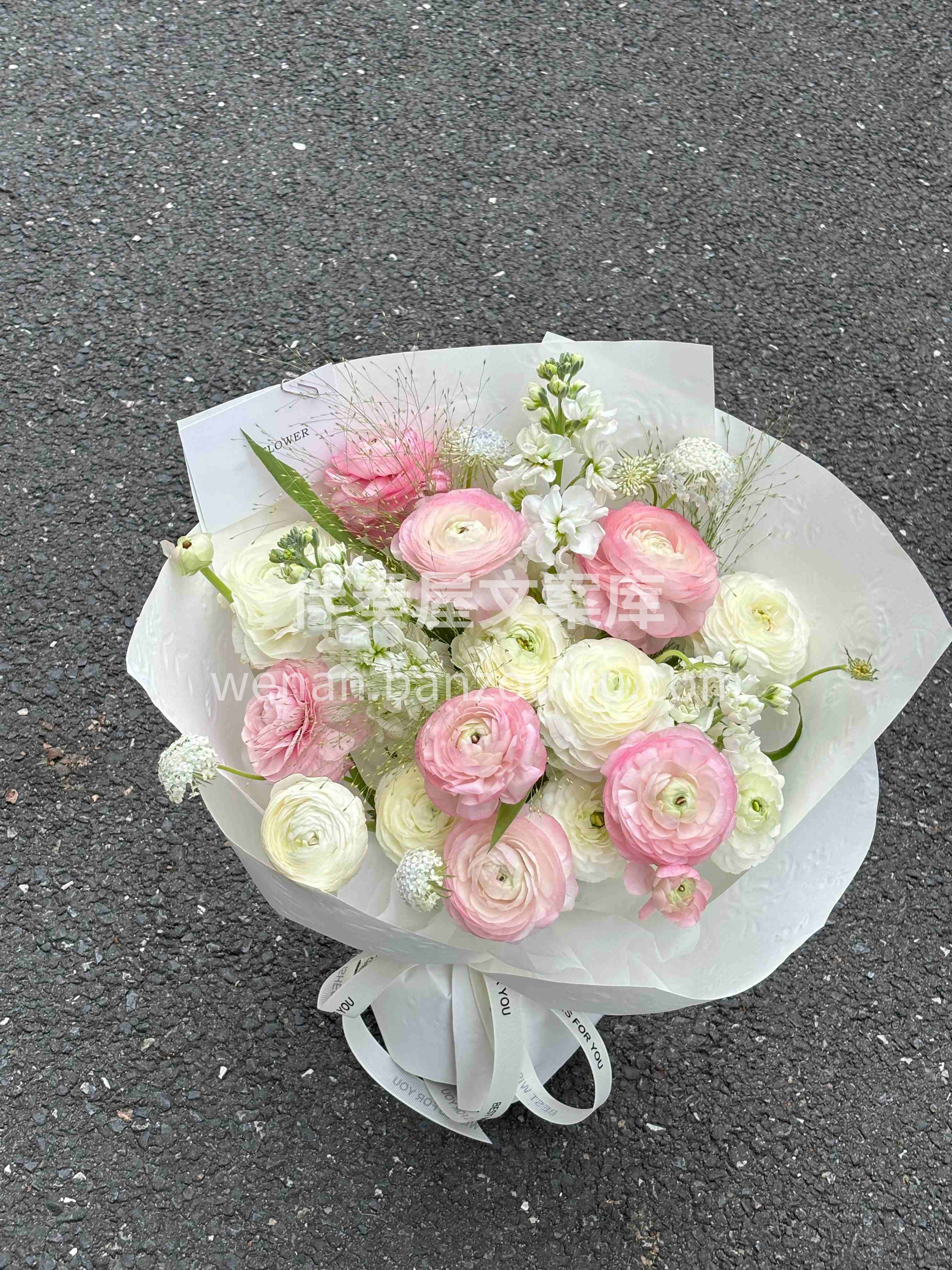谁能拒绝“春日🌸仙女花” 粉白洋牡丹也太会了吧～ 阳光下自带 配图2