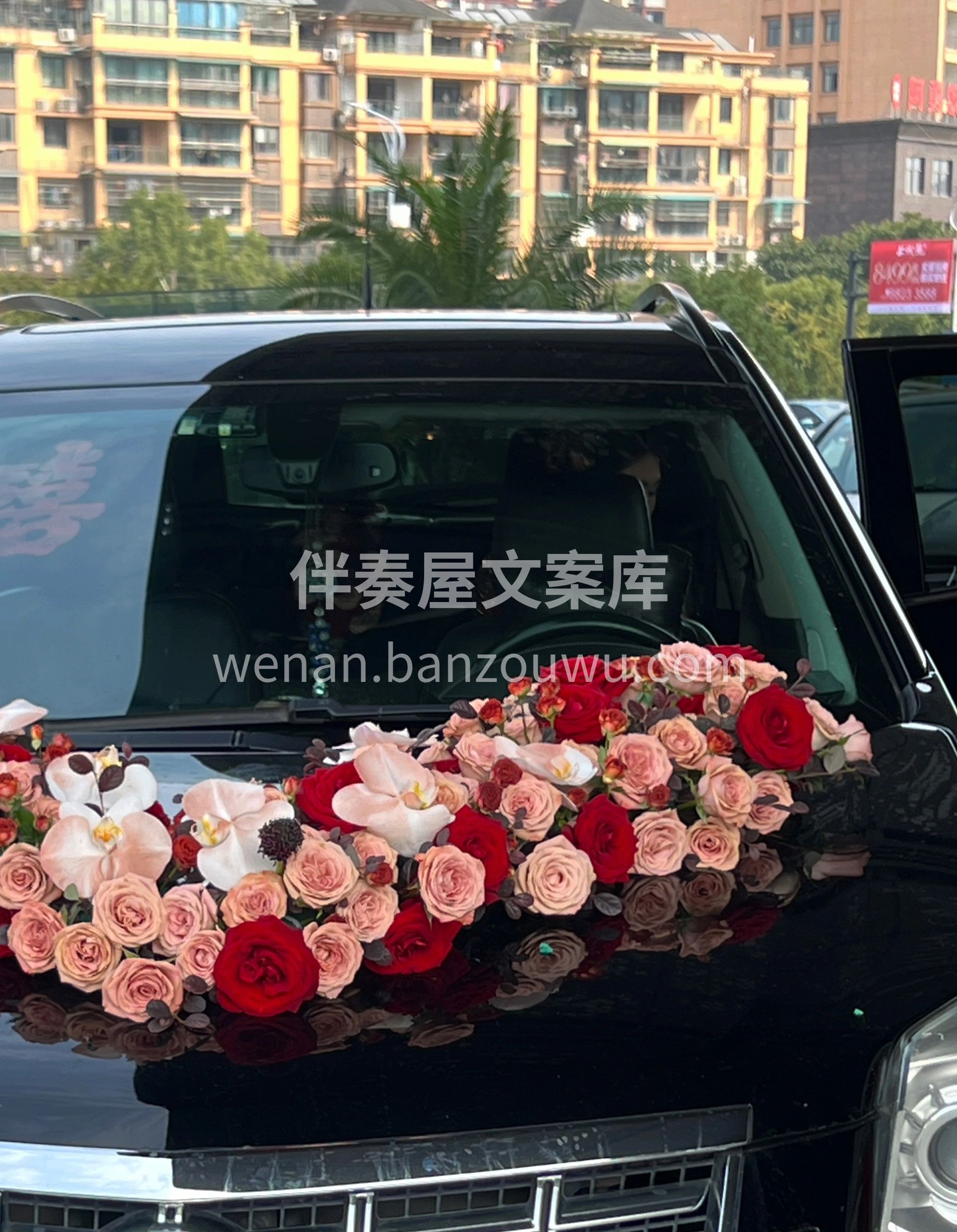 满满的玫瑰🌹 红玫瑰搭配复古卡布奇诺 低 配图2