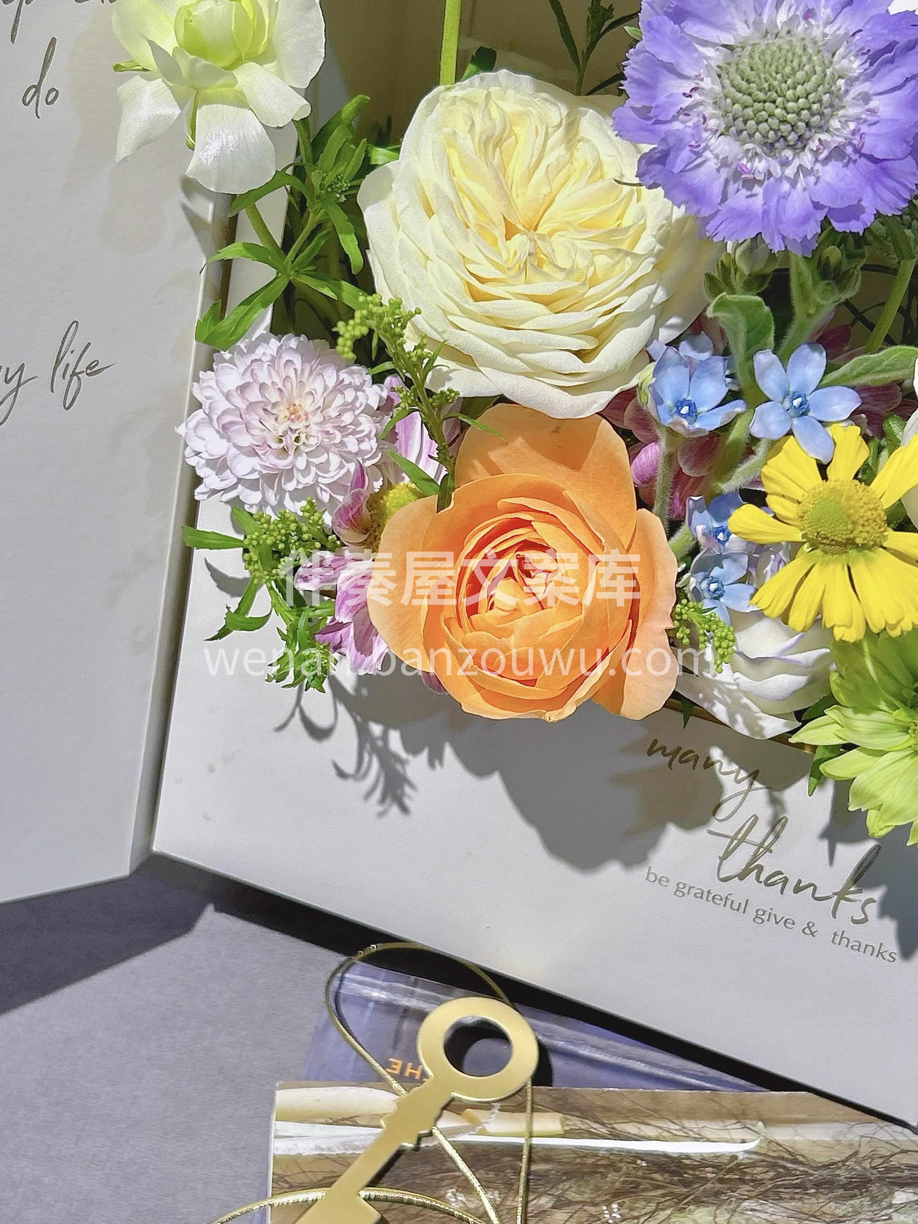 春天没有方向🌸 春天只顾花开 真正见过这五彩纷呈的春🌸 才晓 配图2