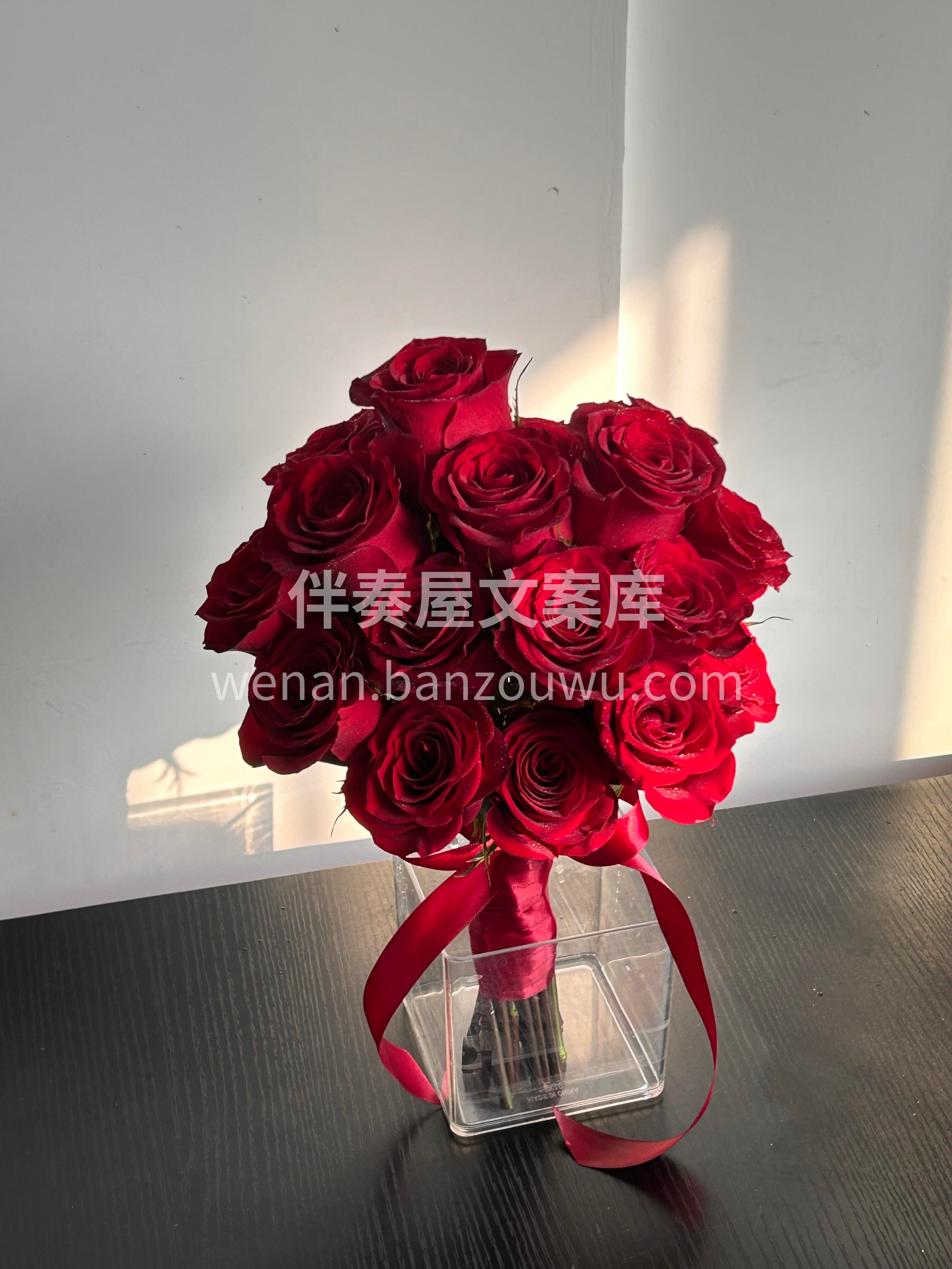 爆款红玫瑰手捧❤️经典永不落幕✨ 热烈又浪漫🌹拍照出片氛围感 配图1