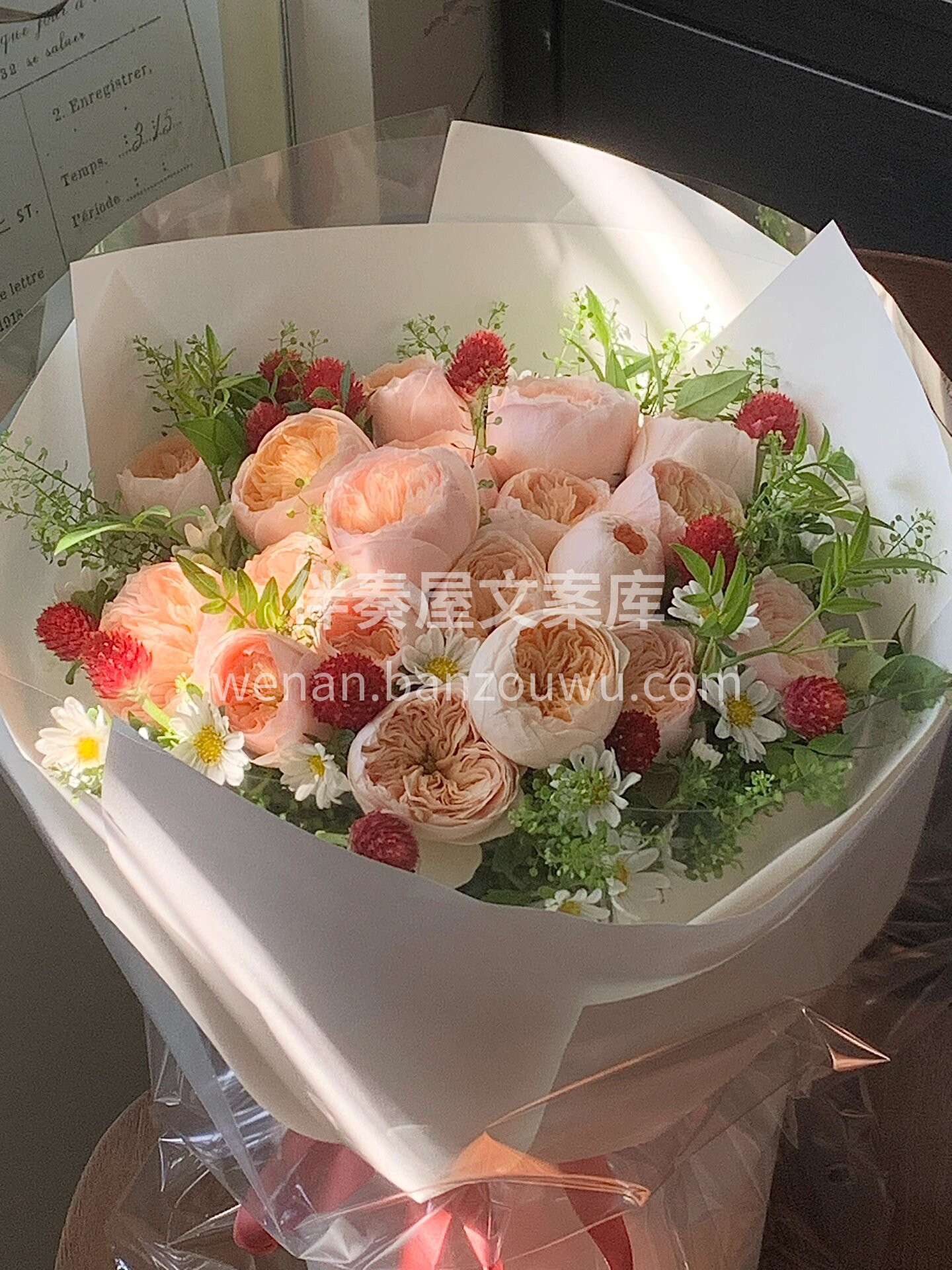 心心念念的小草莓千日红🍓这次终于买到啦✨ 配图1