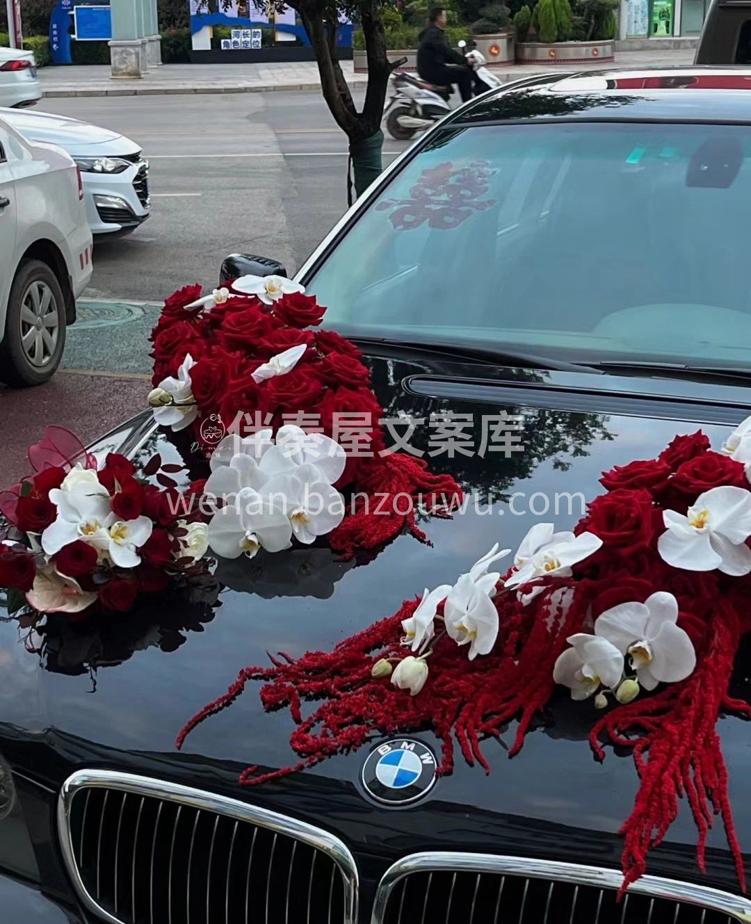红玫瑰🌹 蝴蝶兰的🌸结合 永恒与经典👰🤵 配图3
