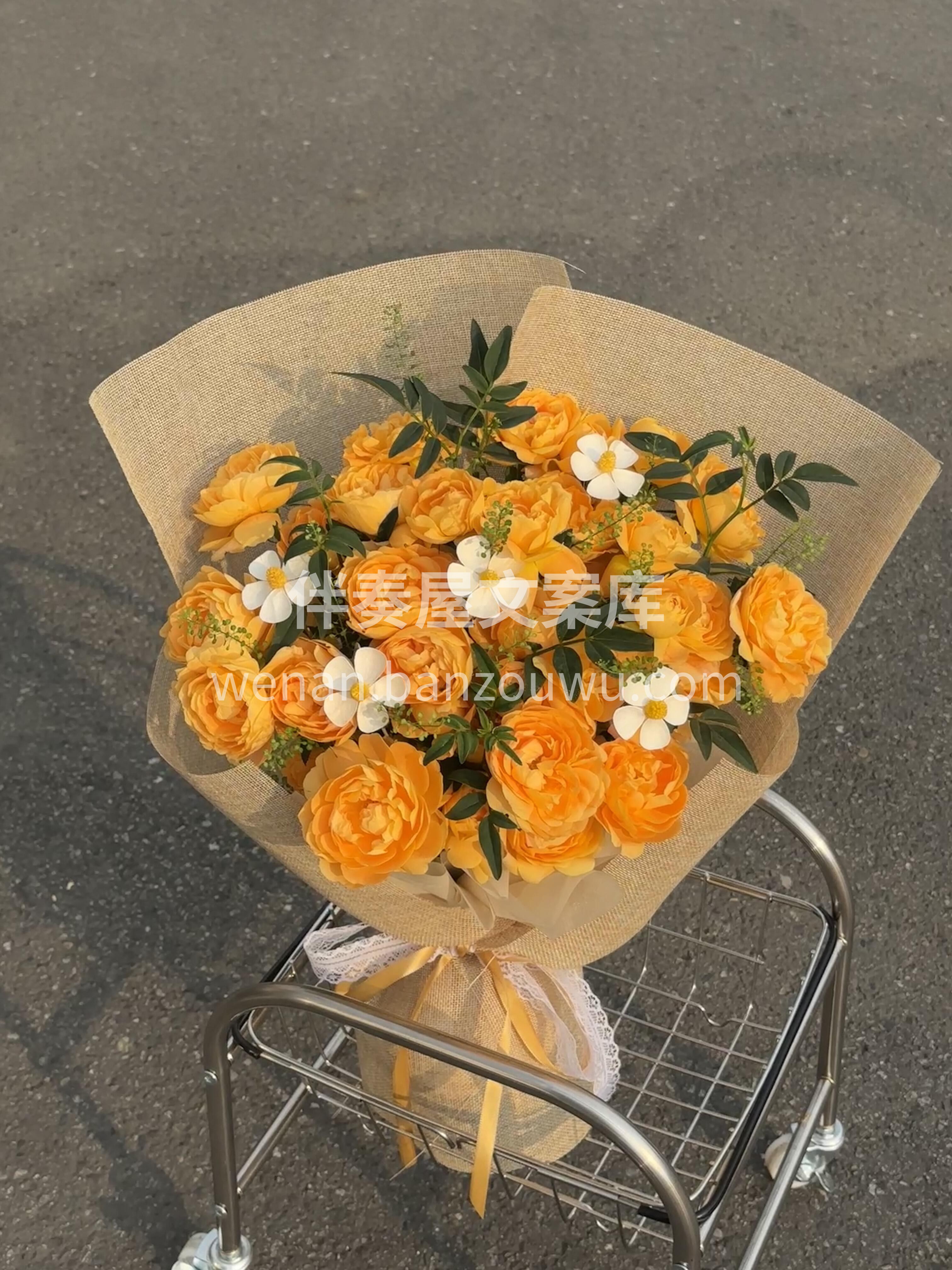 如果治愈有颜色 ✨ 那一定是果汁阳台的🍊 配图2