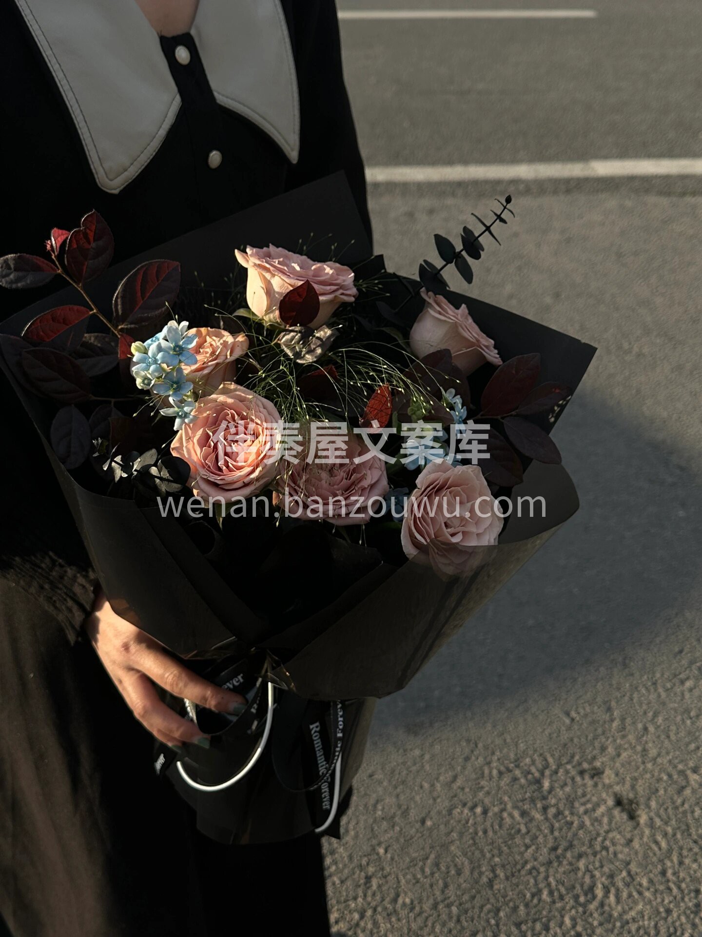见面小花束💐 送去约会的卡布 所有的相逢 配图1