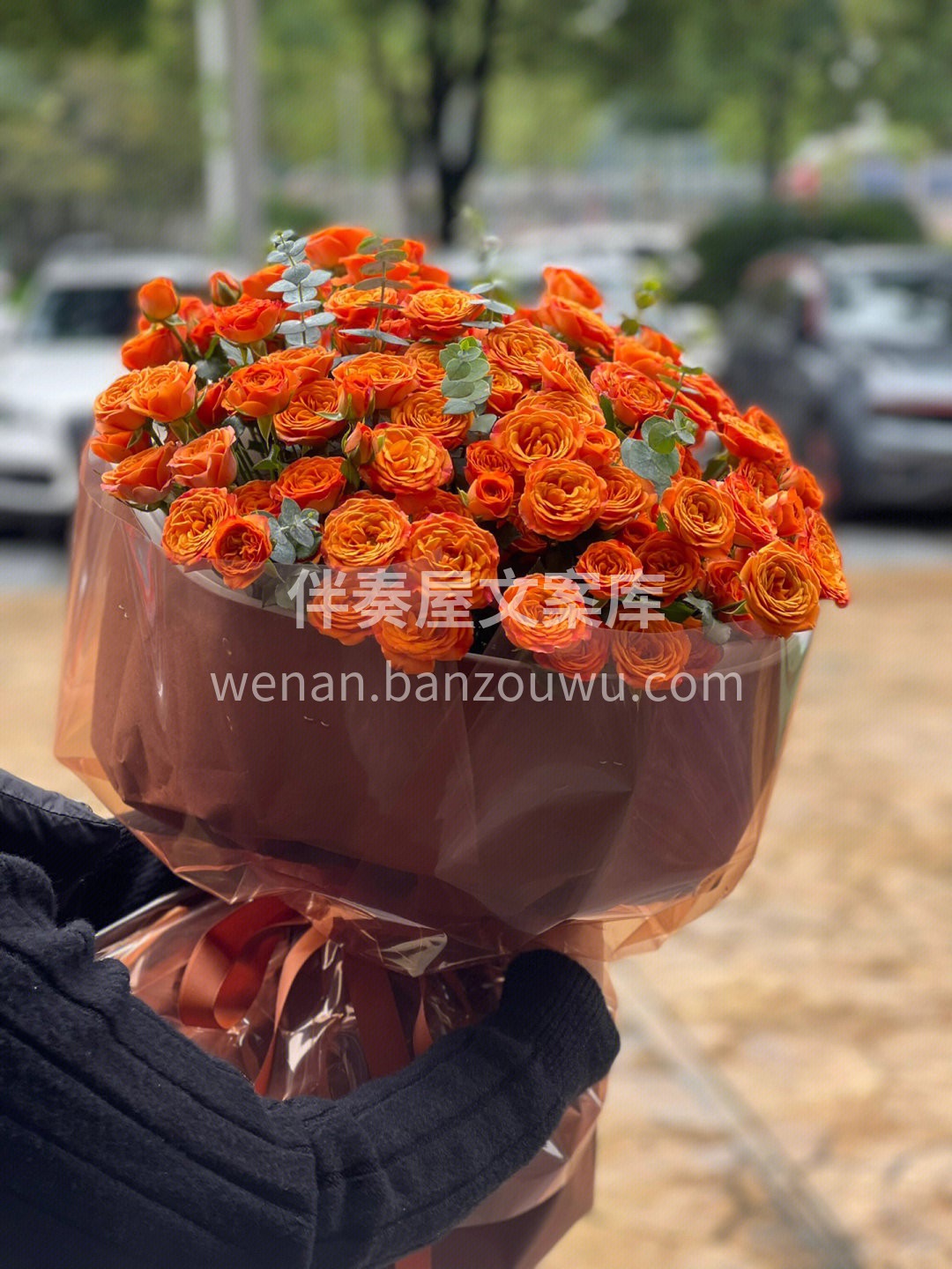 最近店里卖的超好的橙色芭比玫瑰花束 颜色 配图3