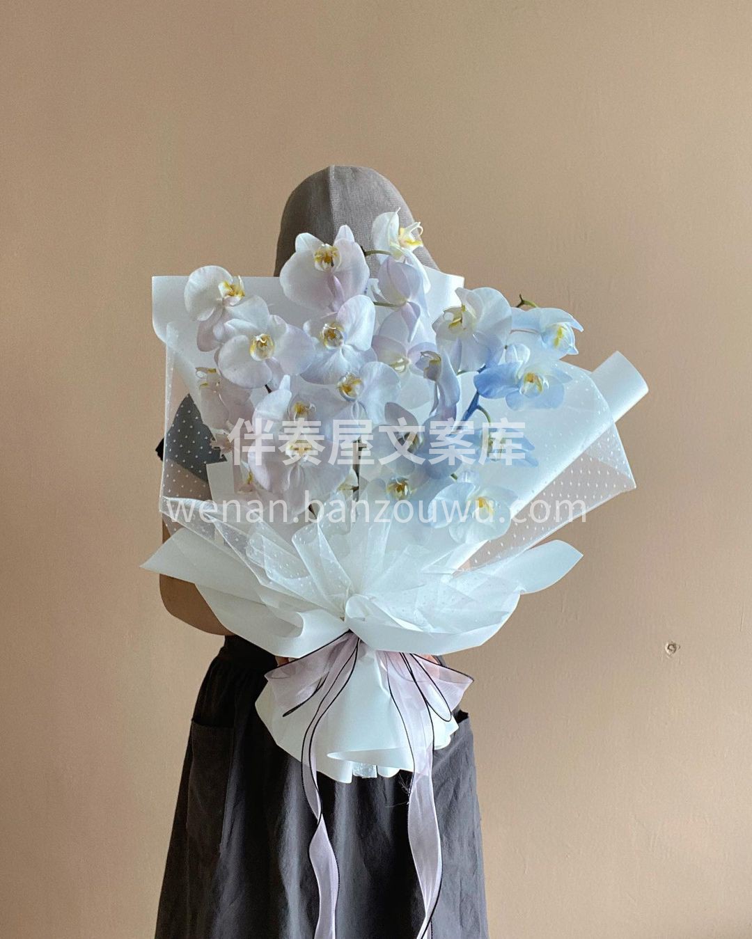 梦幻色系的蝴蝶兰花束 活泼灵动，又极具气 配图2